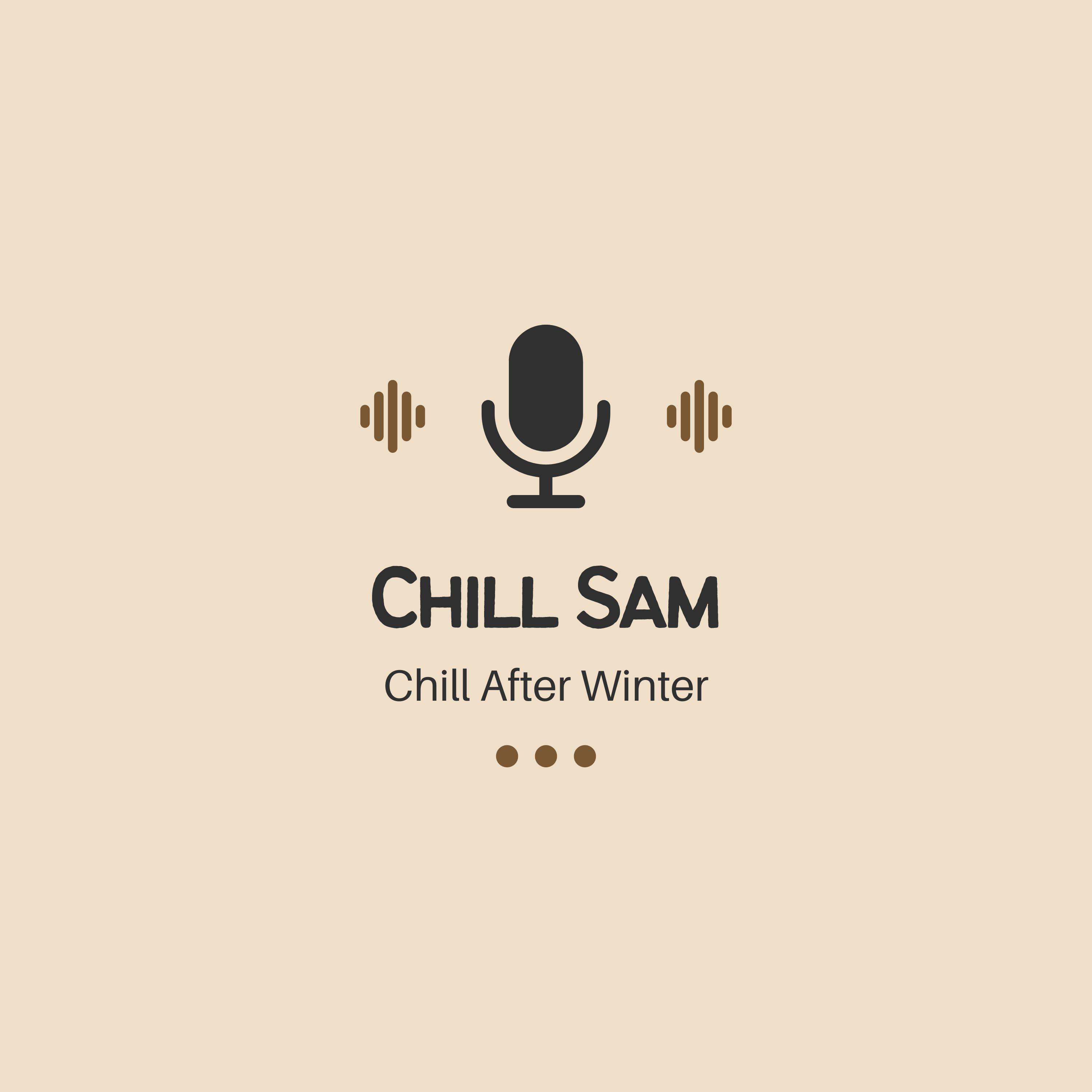 Постер альбома Chill after Winter