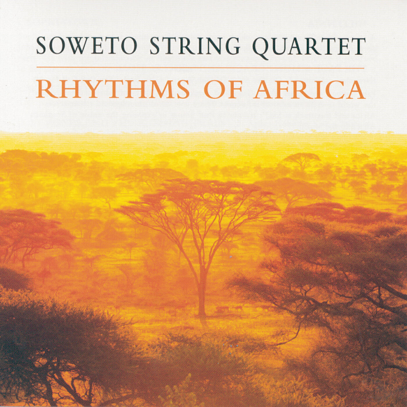 Soweto String Quartet - St Agnes and the Burning Train (St Agnes Nokusha Kwe-Stimela)