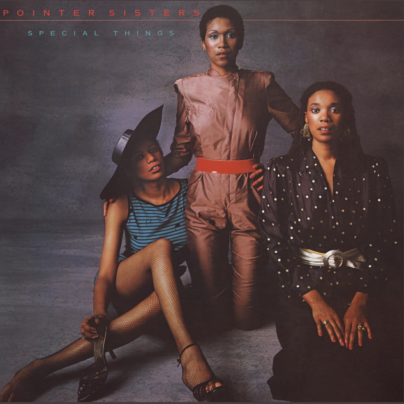 The Pointer Sisters - The Love Too Good to Last