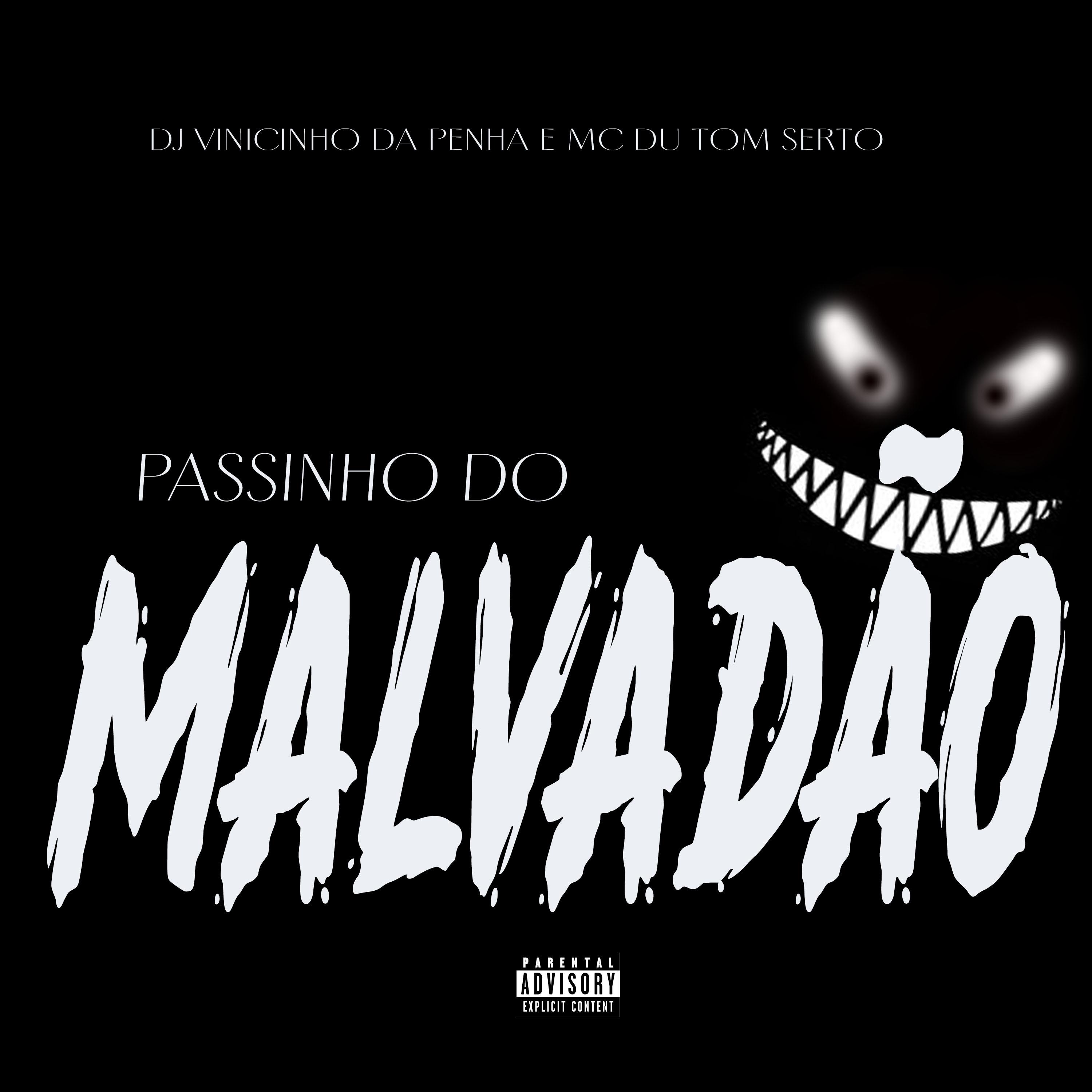 Постер альбома Passinho do Malvadão