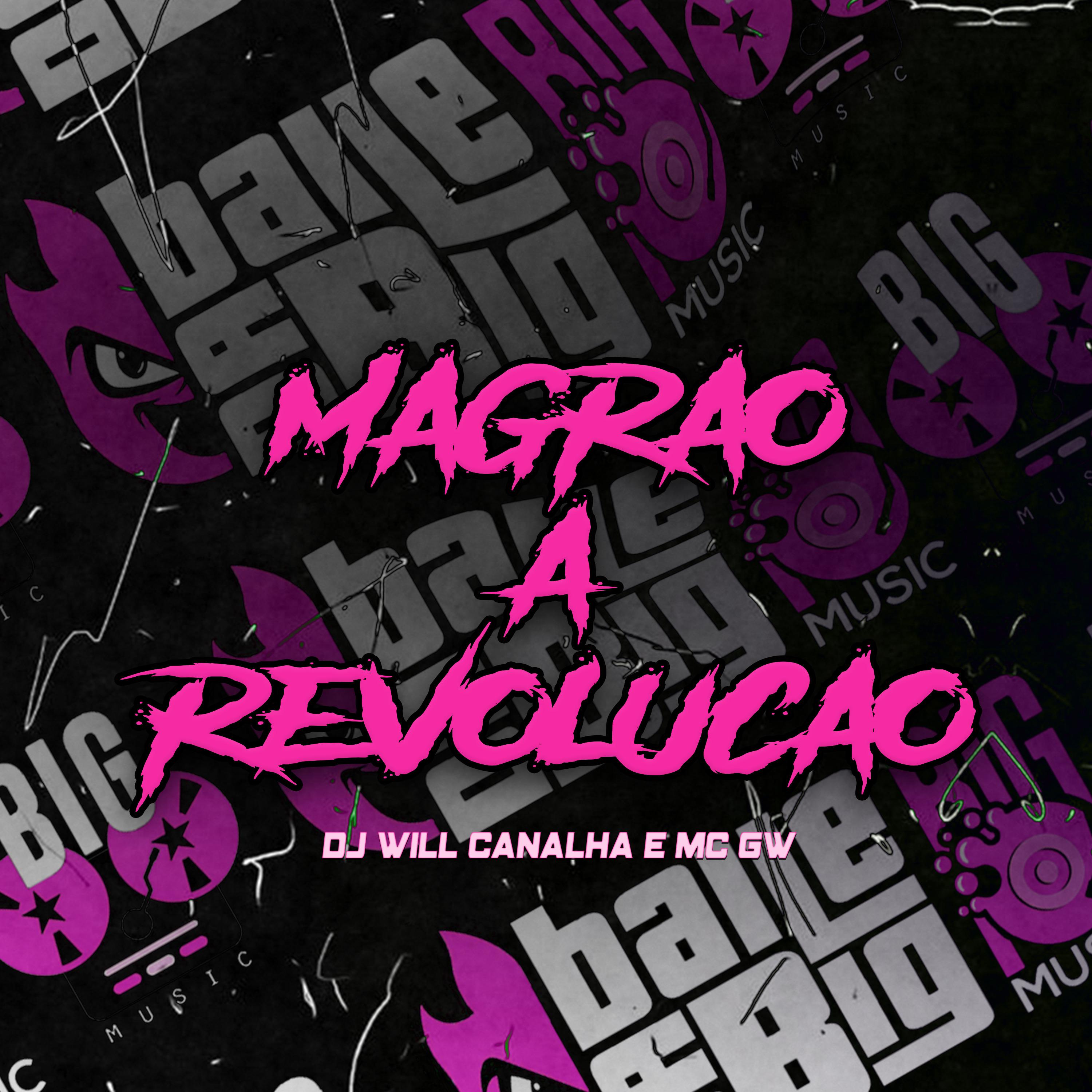 Постер альбома Magrão a Revolução