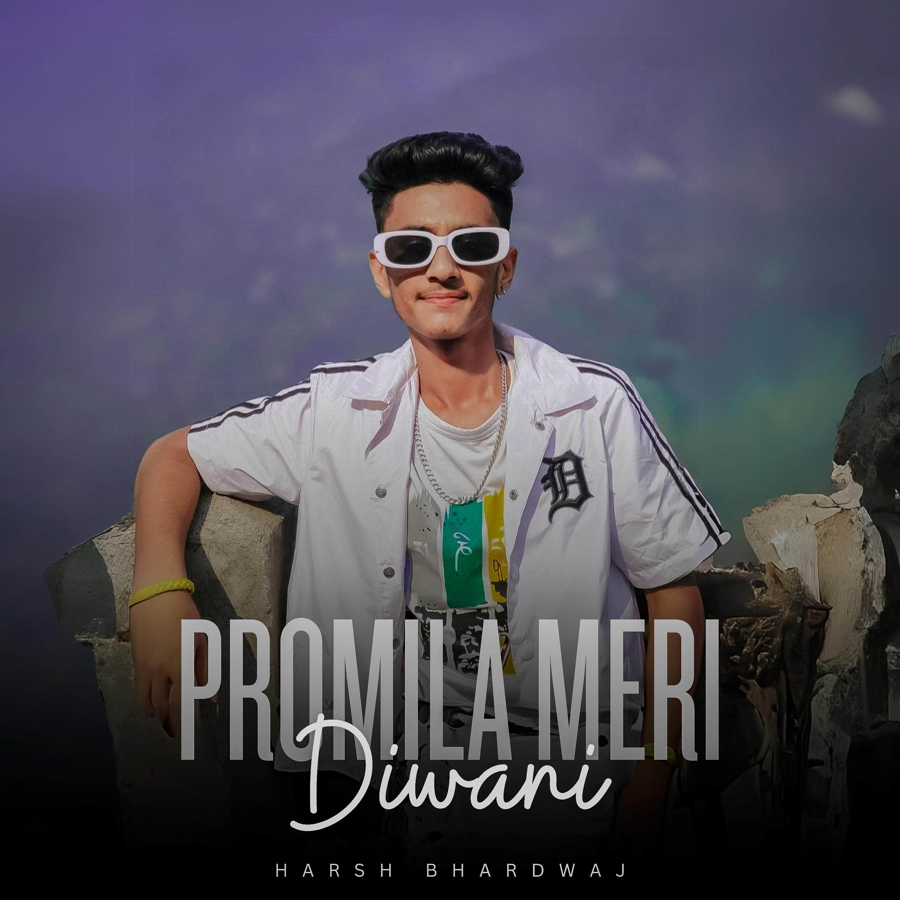 Постер альбома Promila Meri Diwani