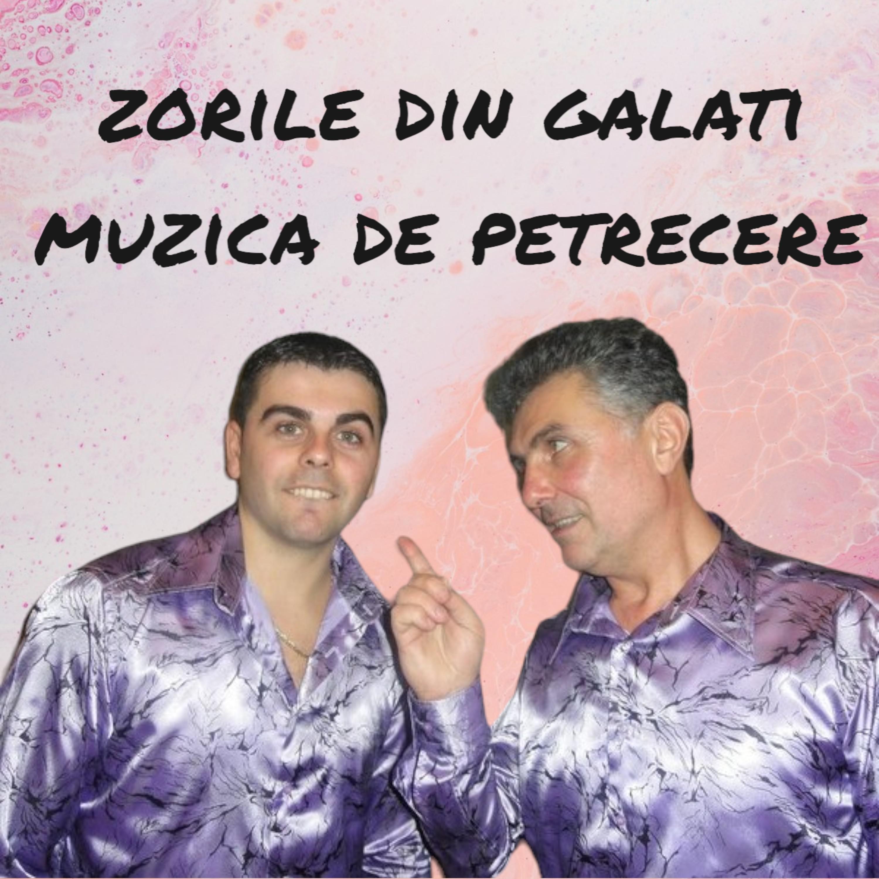 Постер альбома Muzica de petrecere