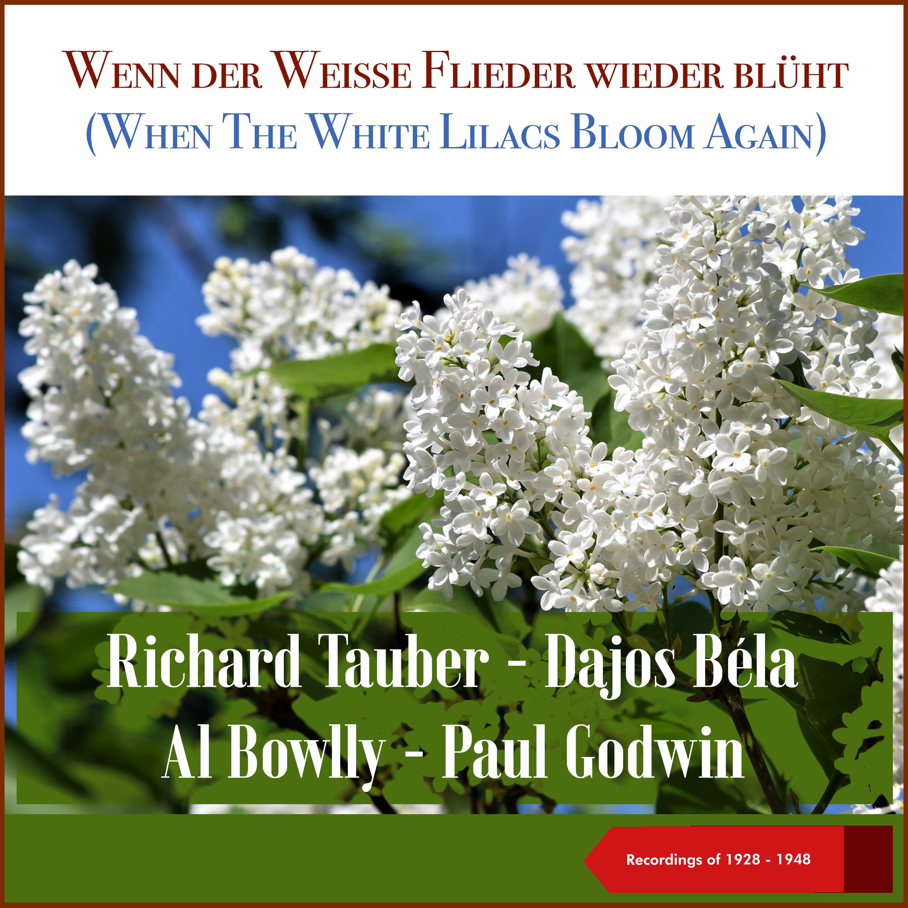 Постер альбома Wenn der Weisse Flieder wieder blüht (When The White Lilacs Bloom Again)