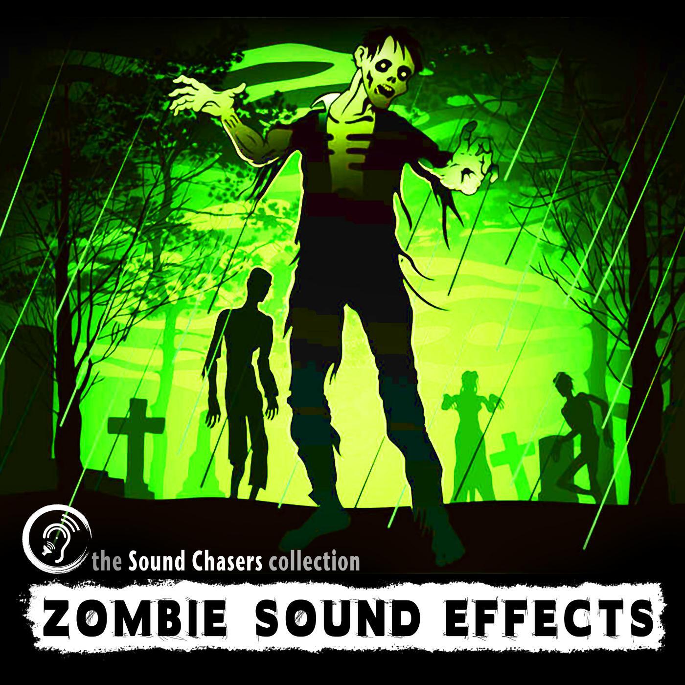 Sound Chaser's Sound Effects - Zombie Gasp Short Raspy Sound Effect