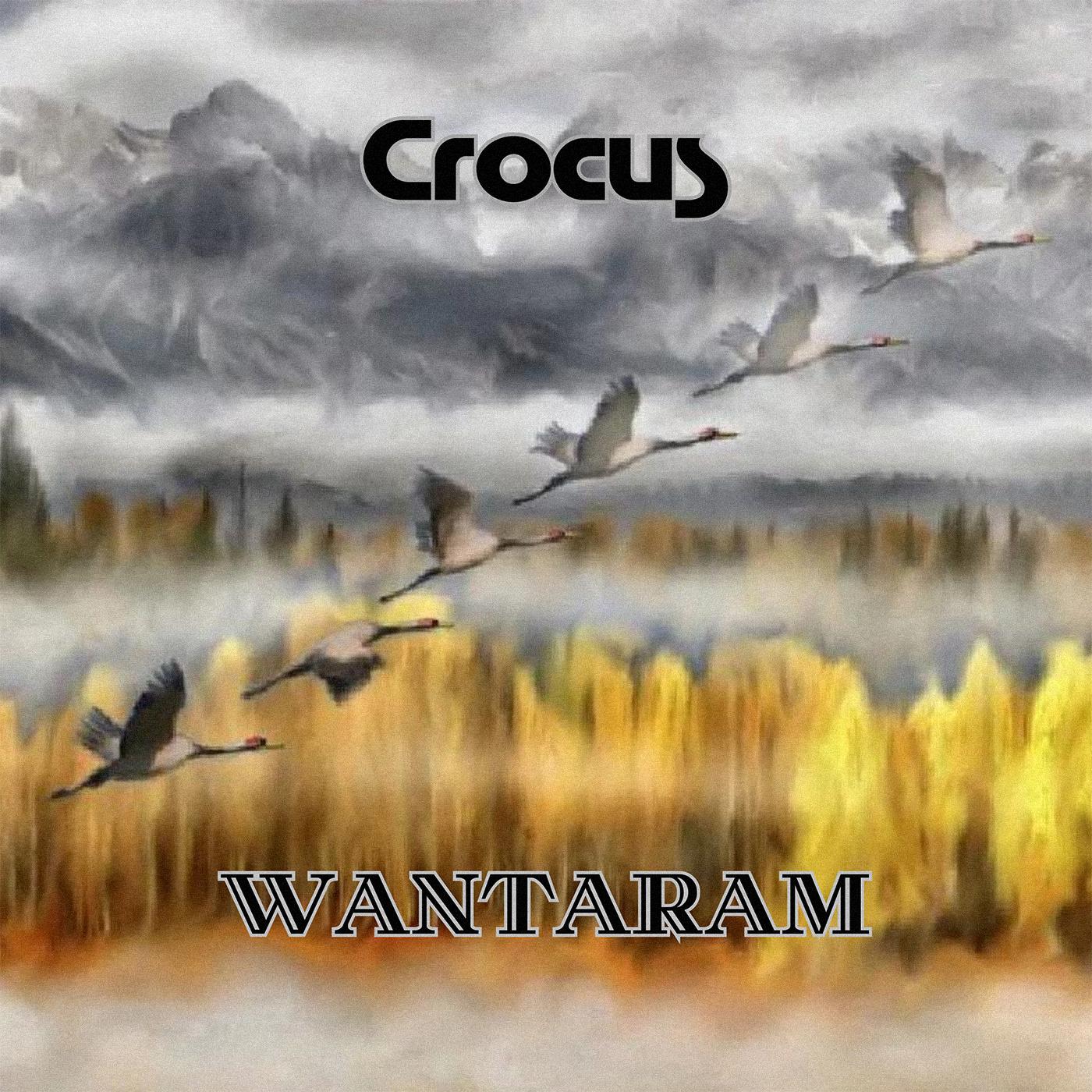 Постер альбома Crocus