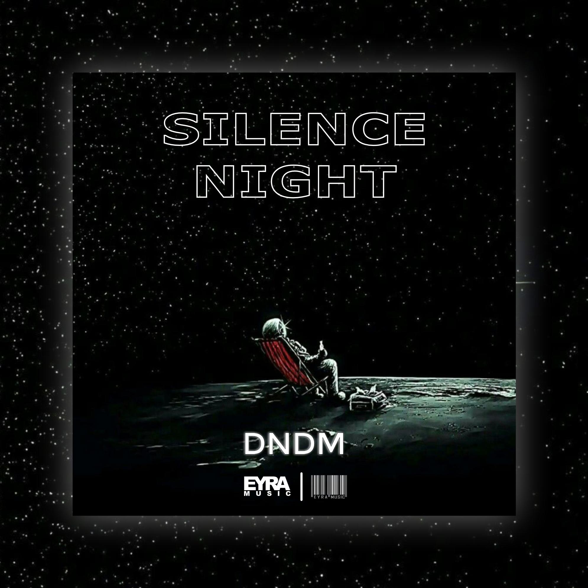 Постер альбома Silence Night