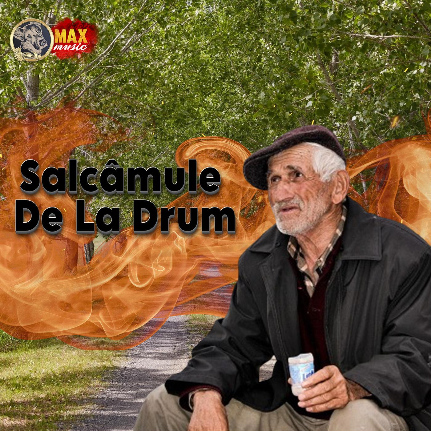 Постер альбома Salcâmule De La Drum