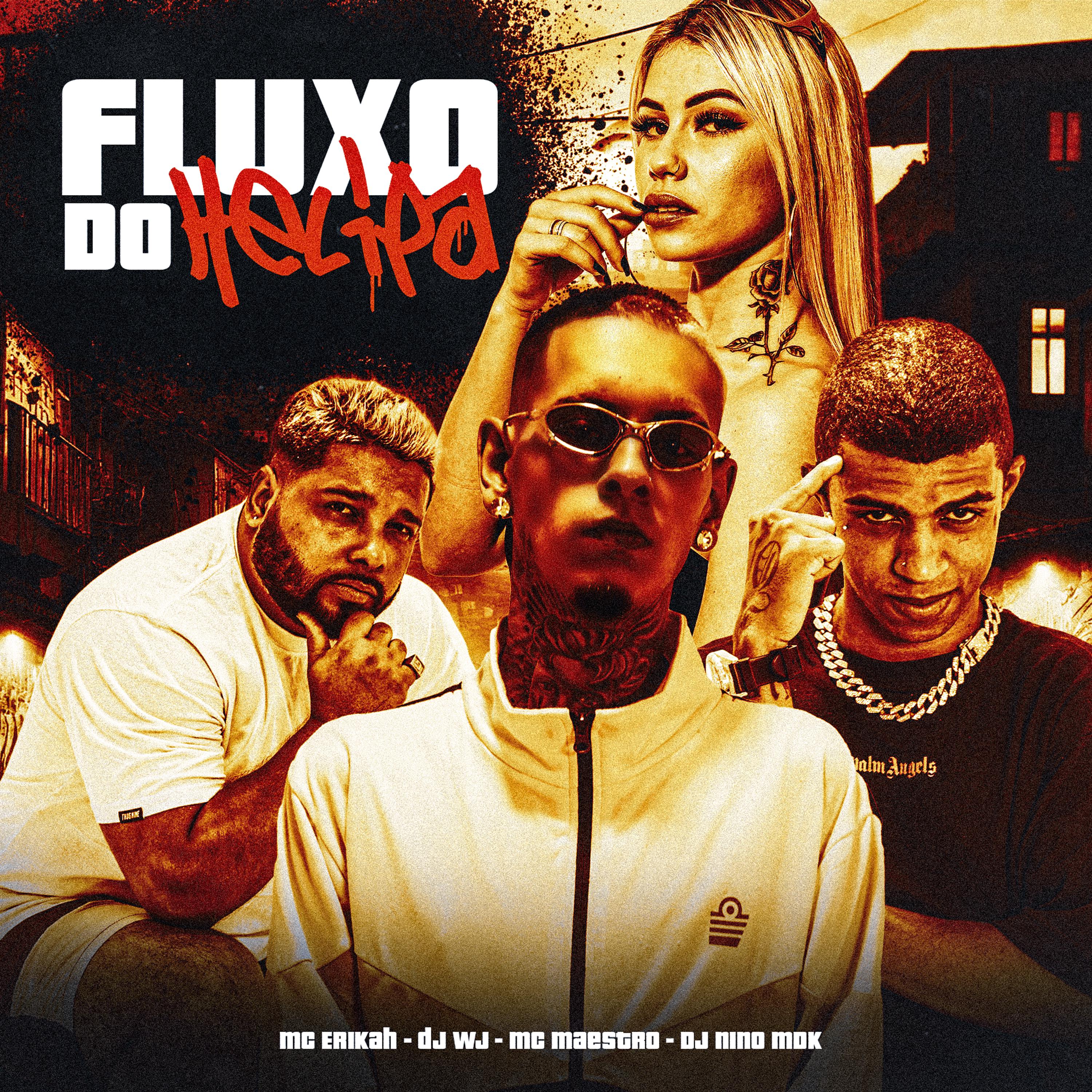 Постер альбома Fluxo no Helipa