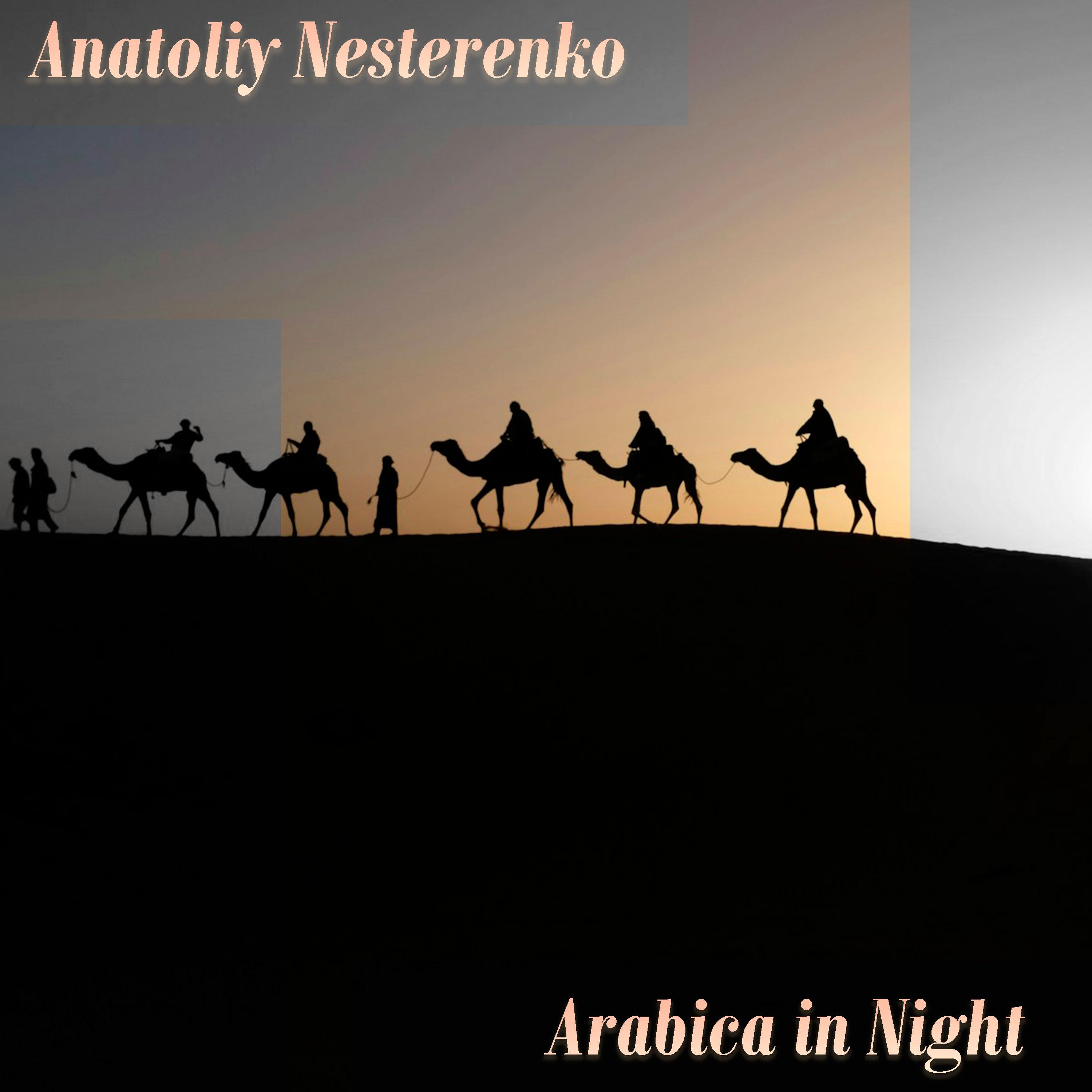 Постер альбома Arabica in Night