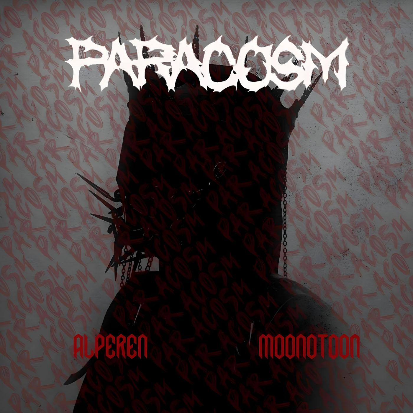 Постер альбома PARACOSM