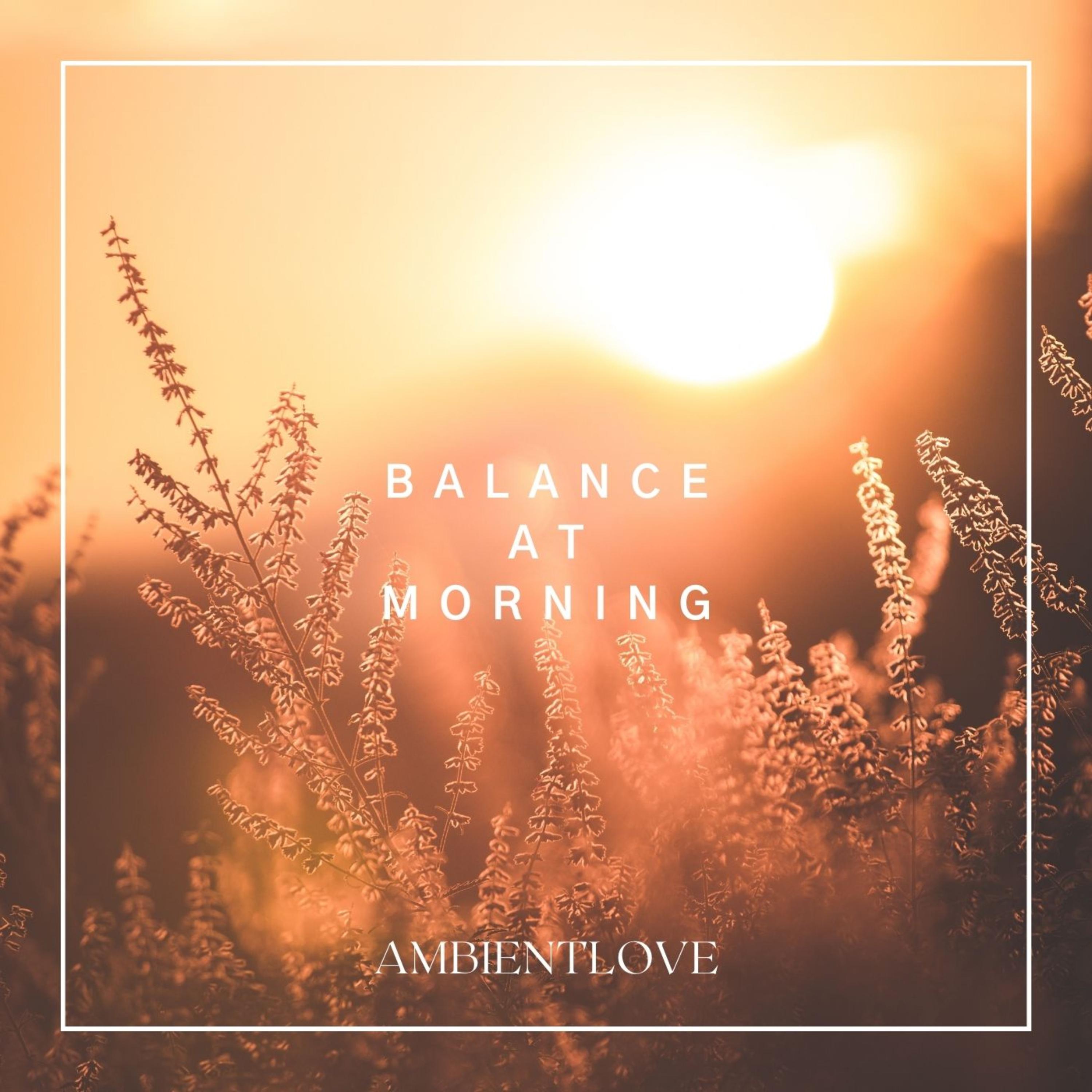 Постер альбома Balance at Morning