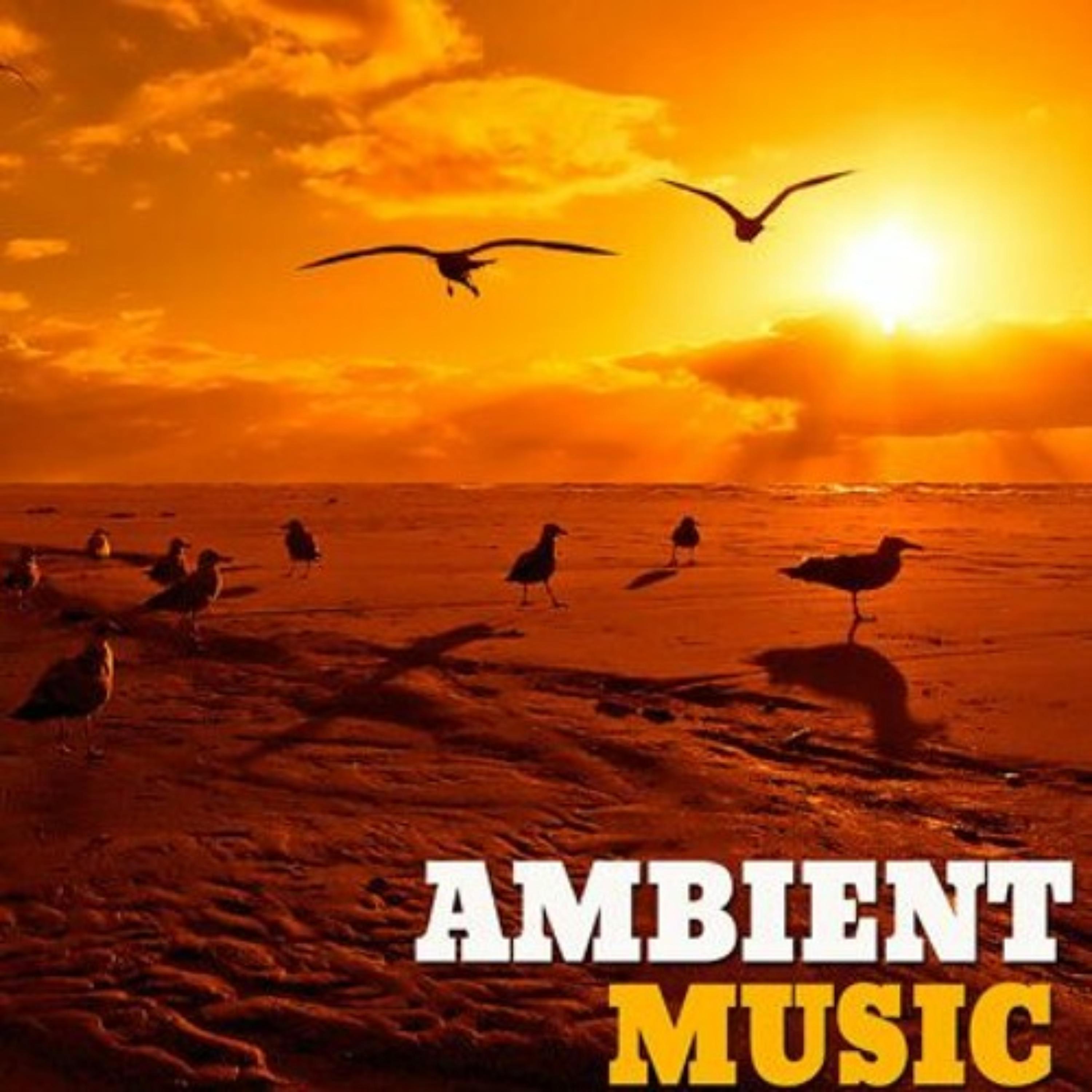 Постер альбома Ambient Music