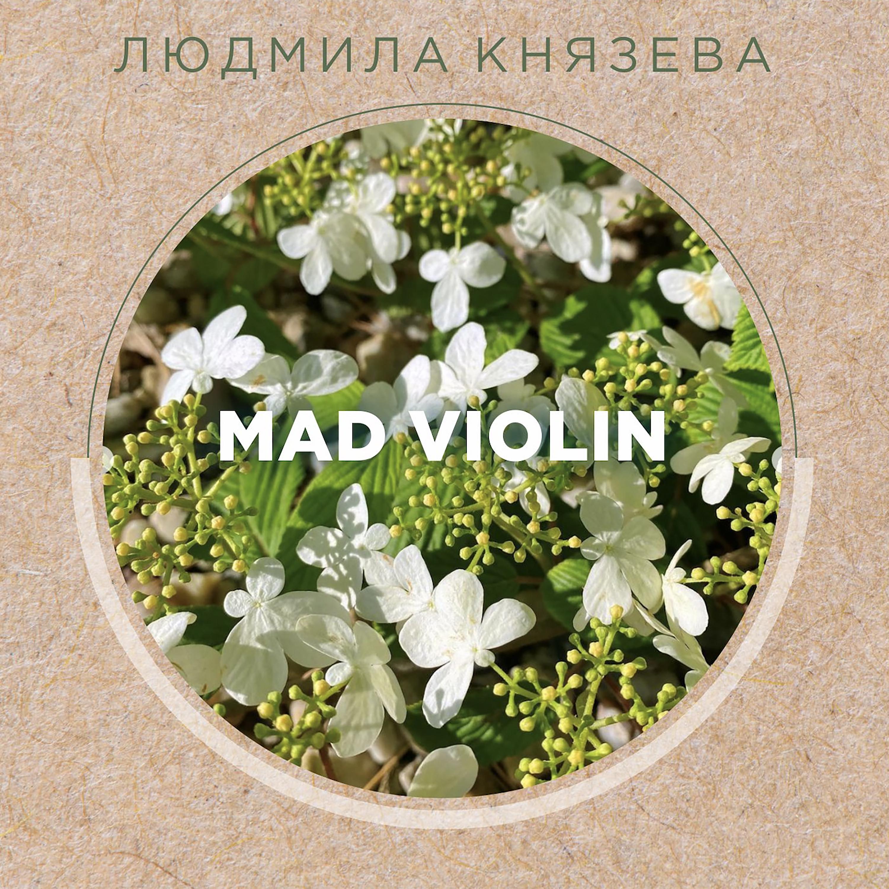 Постер альбома Mad Violin