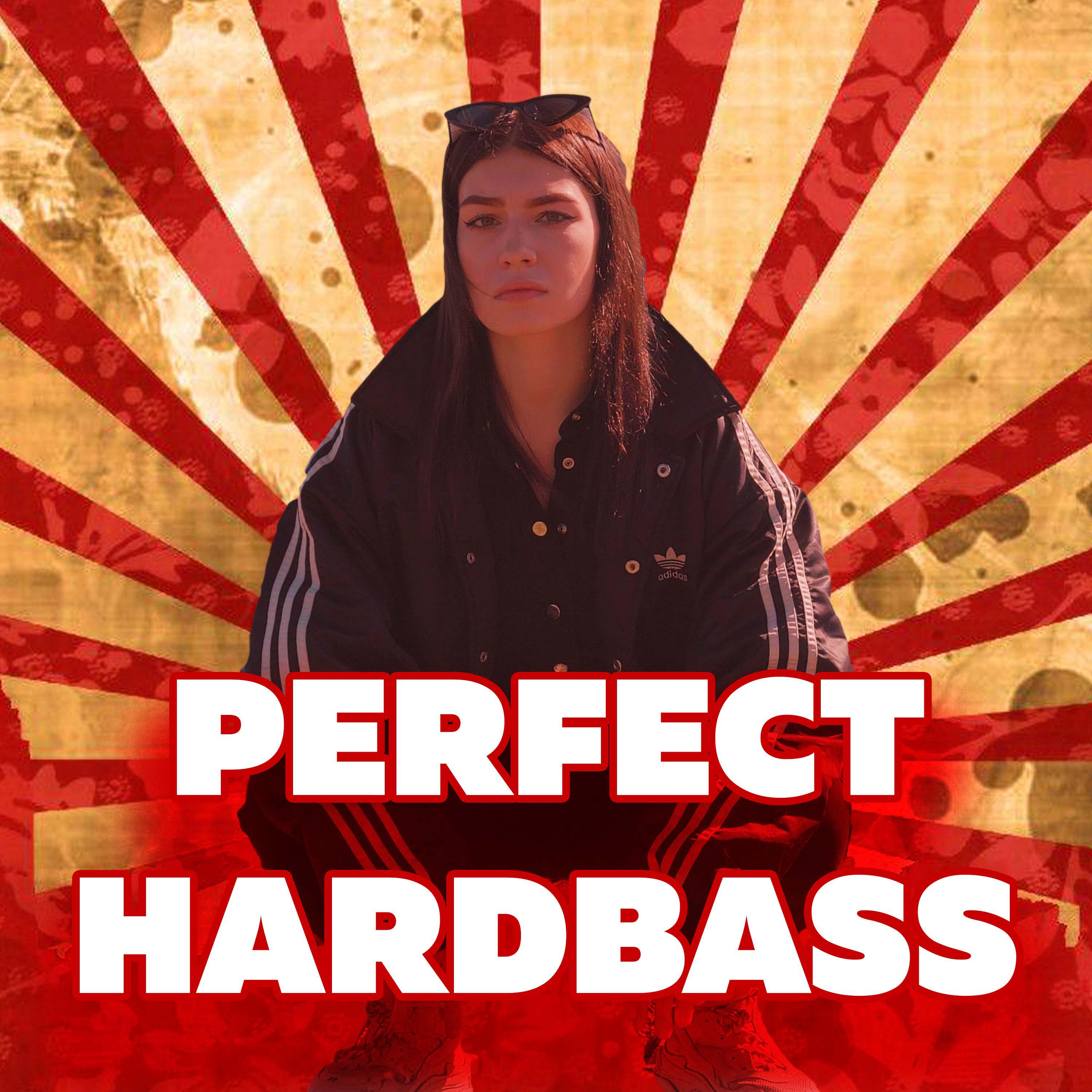 Постер альбома Perfect Hardbass