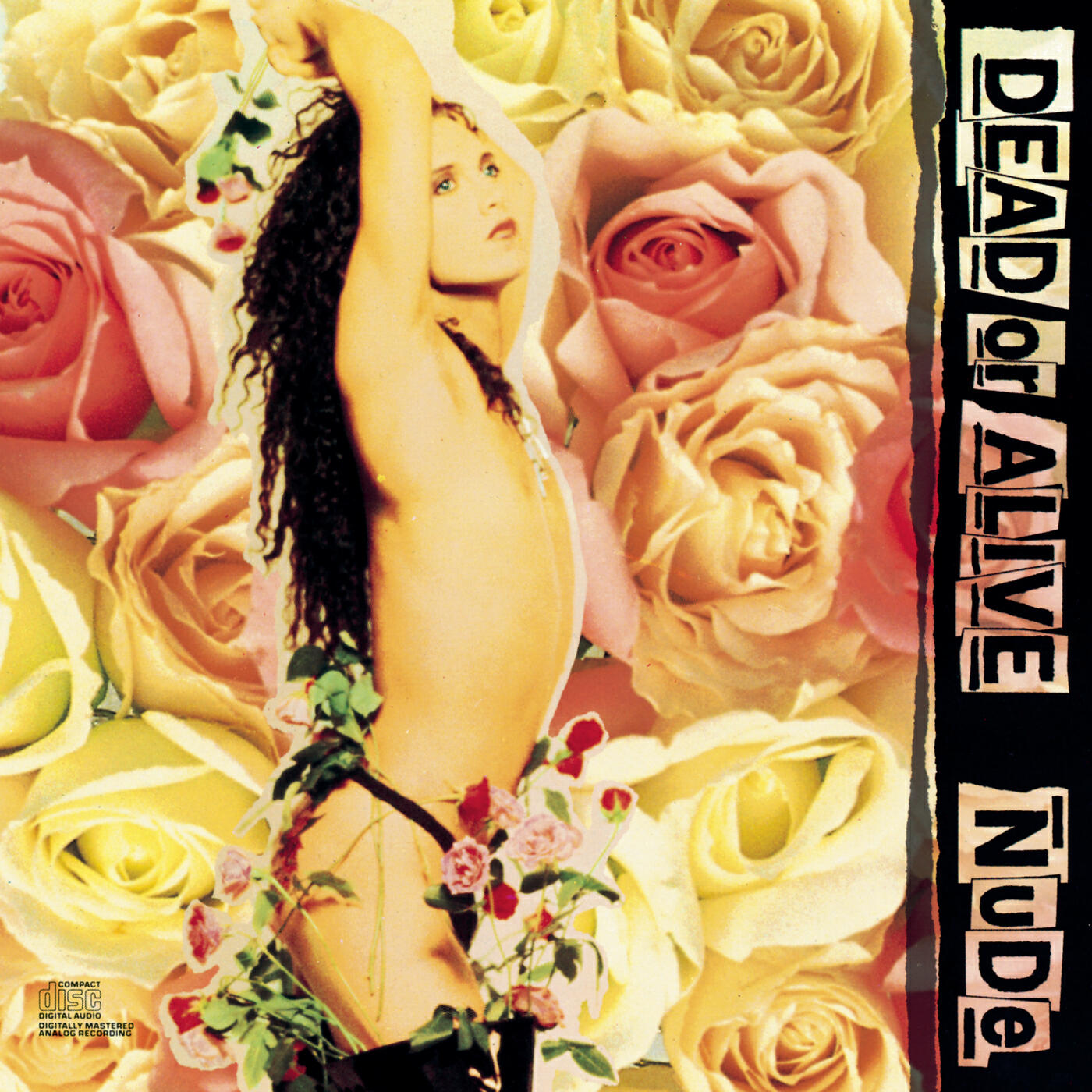 Dead Or Alive - Stop Kicking My Heart Around