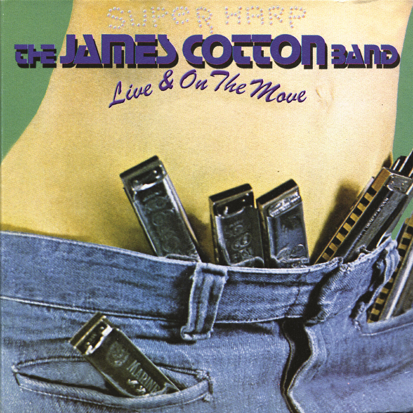 James Cotton - Got My Mojo Workin' (Live)