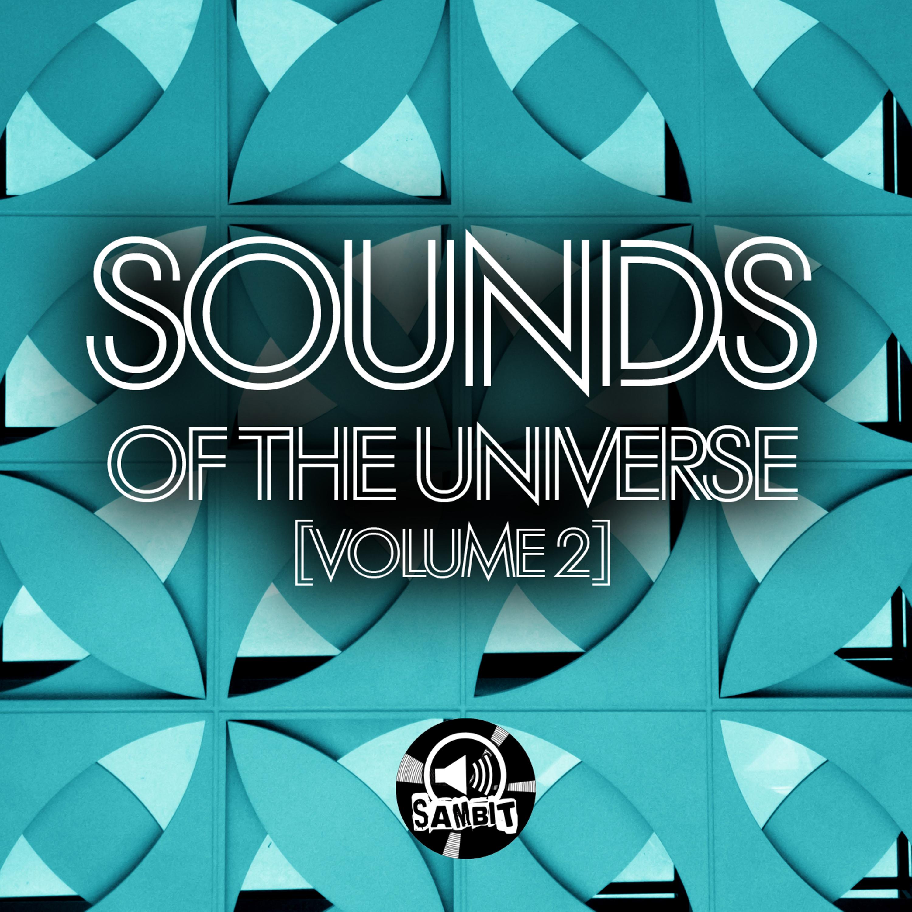 Постер альбома Sounds Of The Universe Volume 2