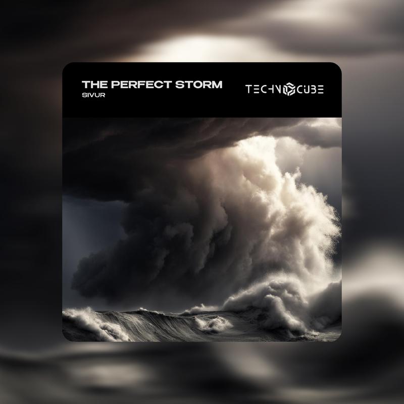 Постер альбома The Perfect Storm