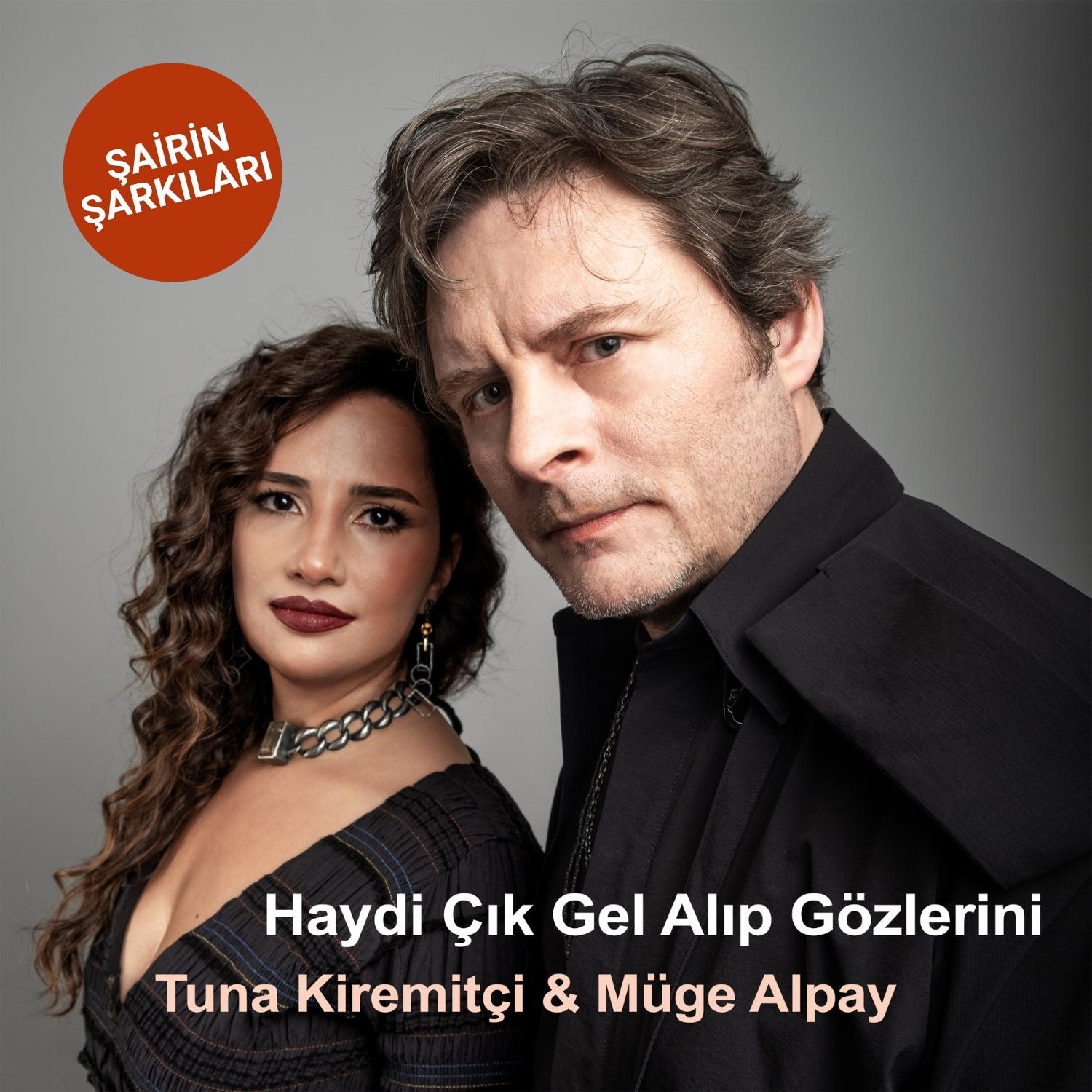 Постер альбома Haydi Çık Gel Alıp Gözlerini