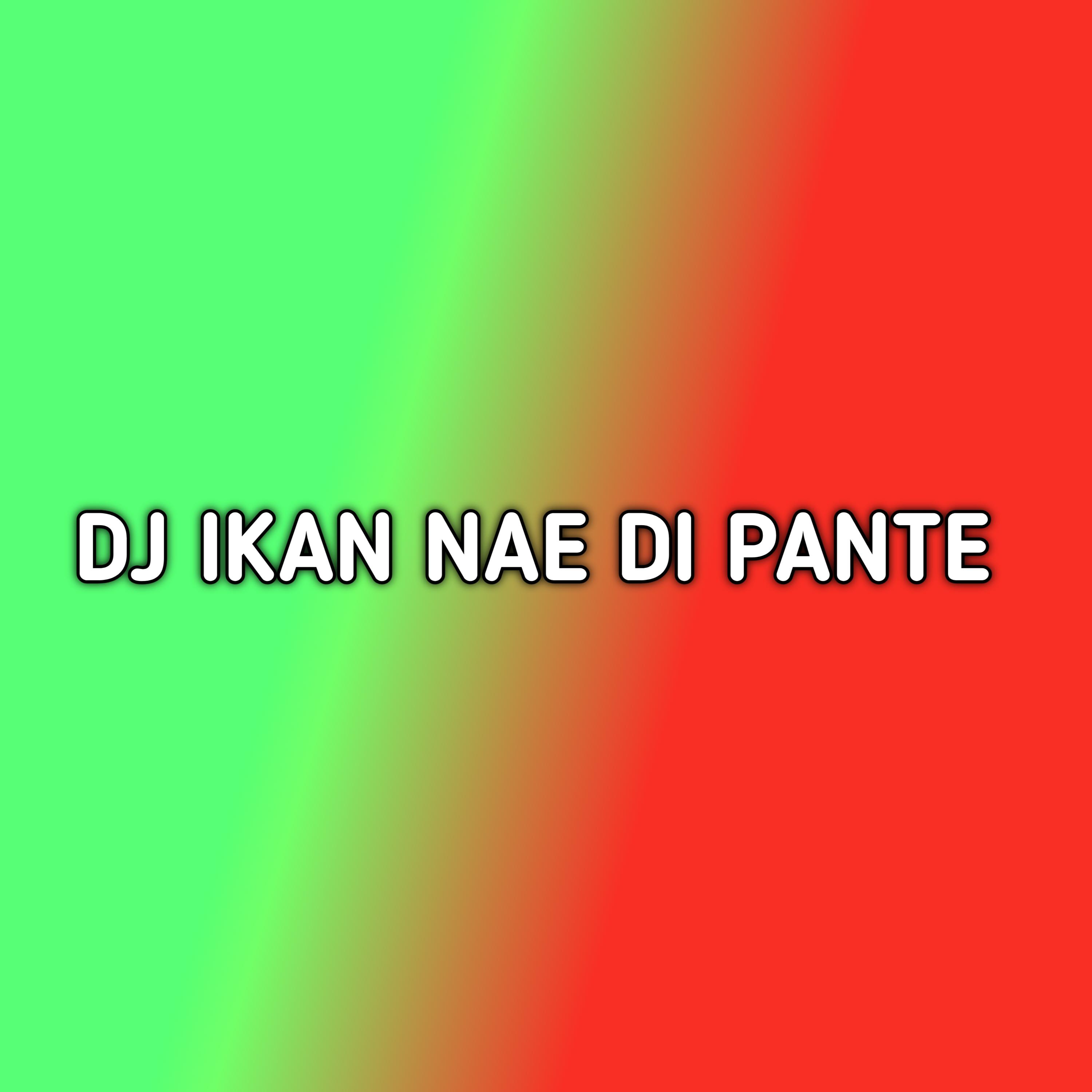 Постер альбома DJ IKAN NAE DIPANTE