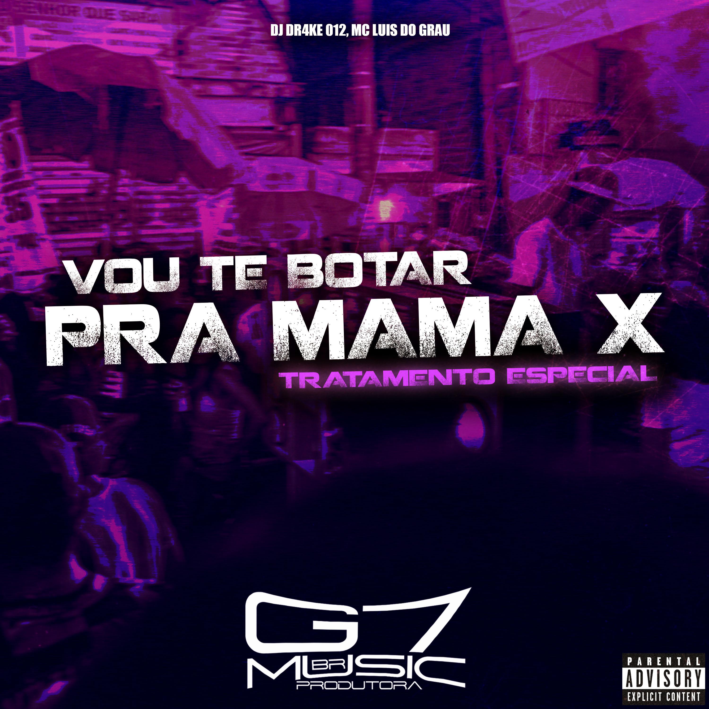Постер альбома Eu Vou Te Bota pra Mama X Tratamento Especial