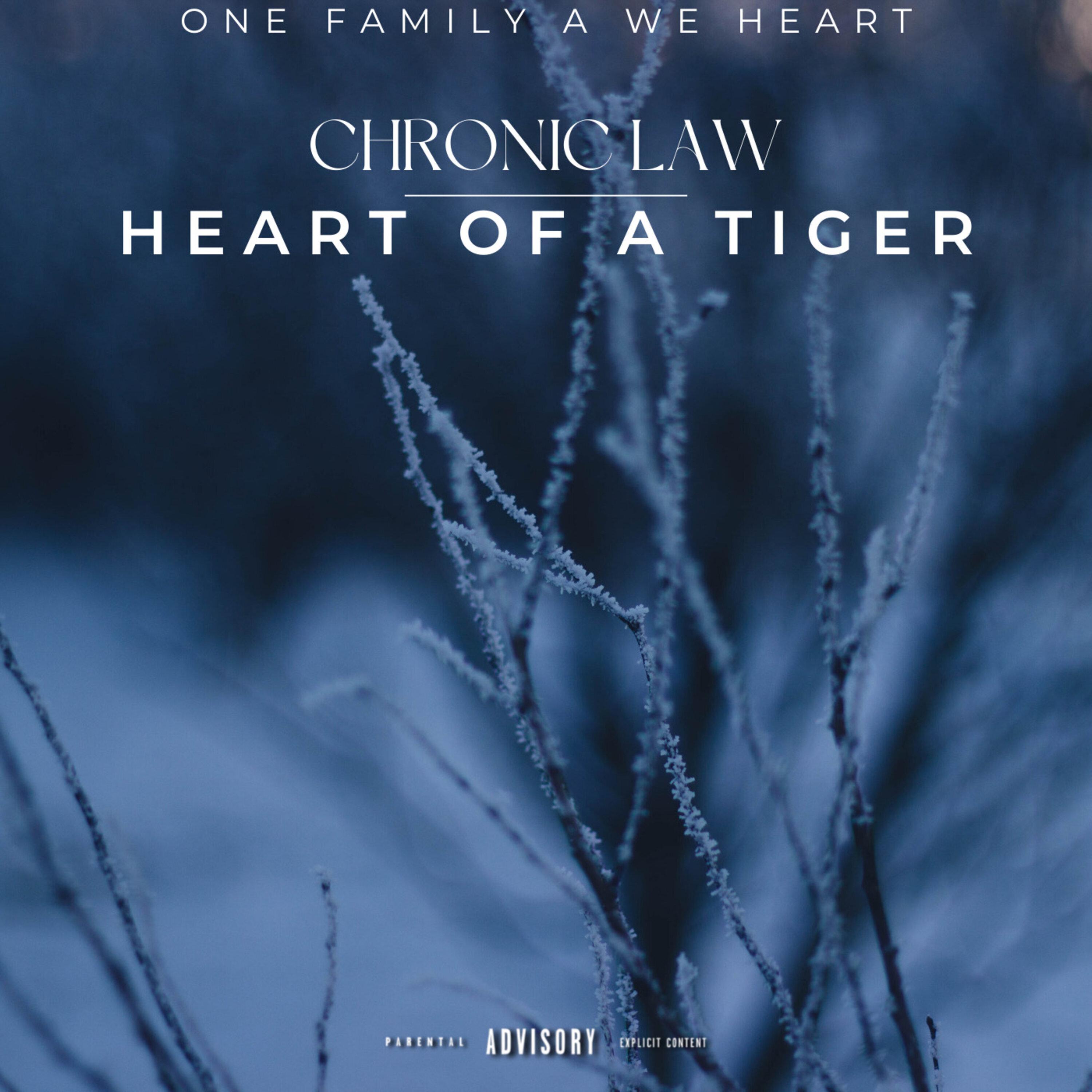 Постер альбома Heart Of A Tiger