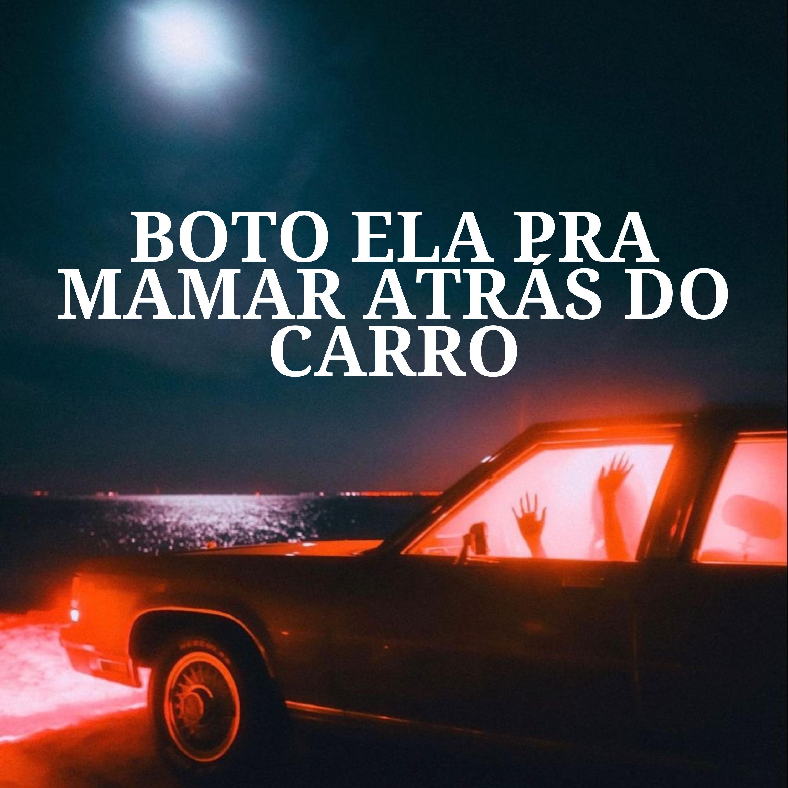 Постер альбома Boto Ela pra Mamar Atrás do Carro