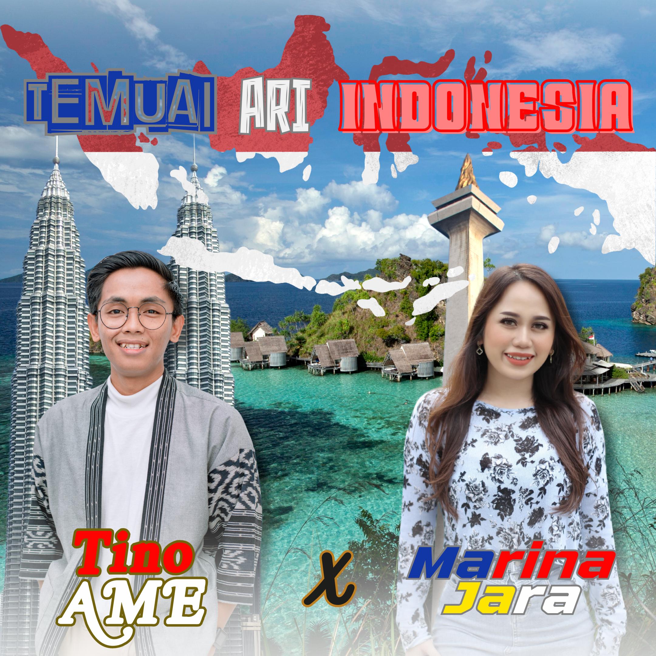 Постер альбома Temuai Ari Indonesia