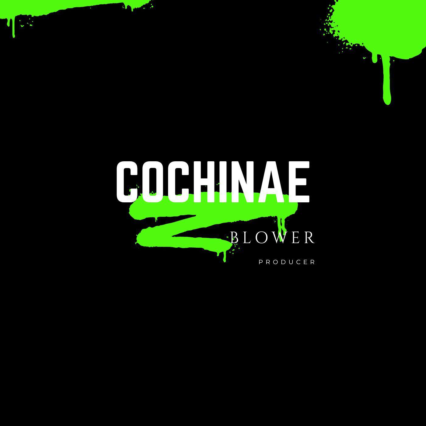 Постер альбома Cochinae
