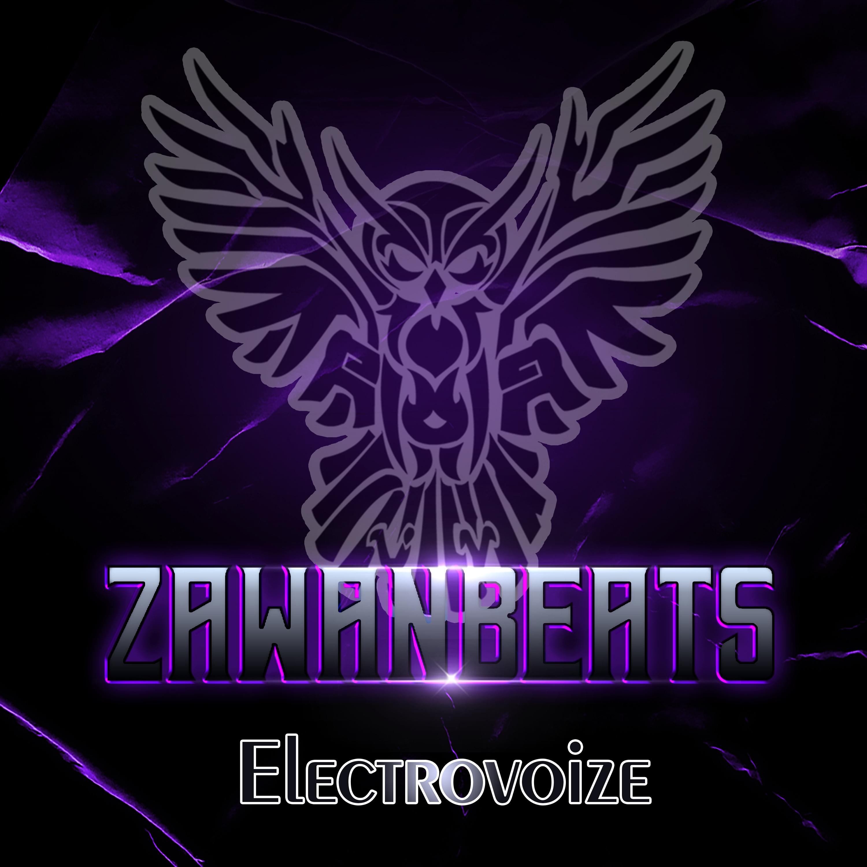 Постер альбома Electrovoize
