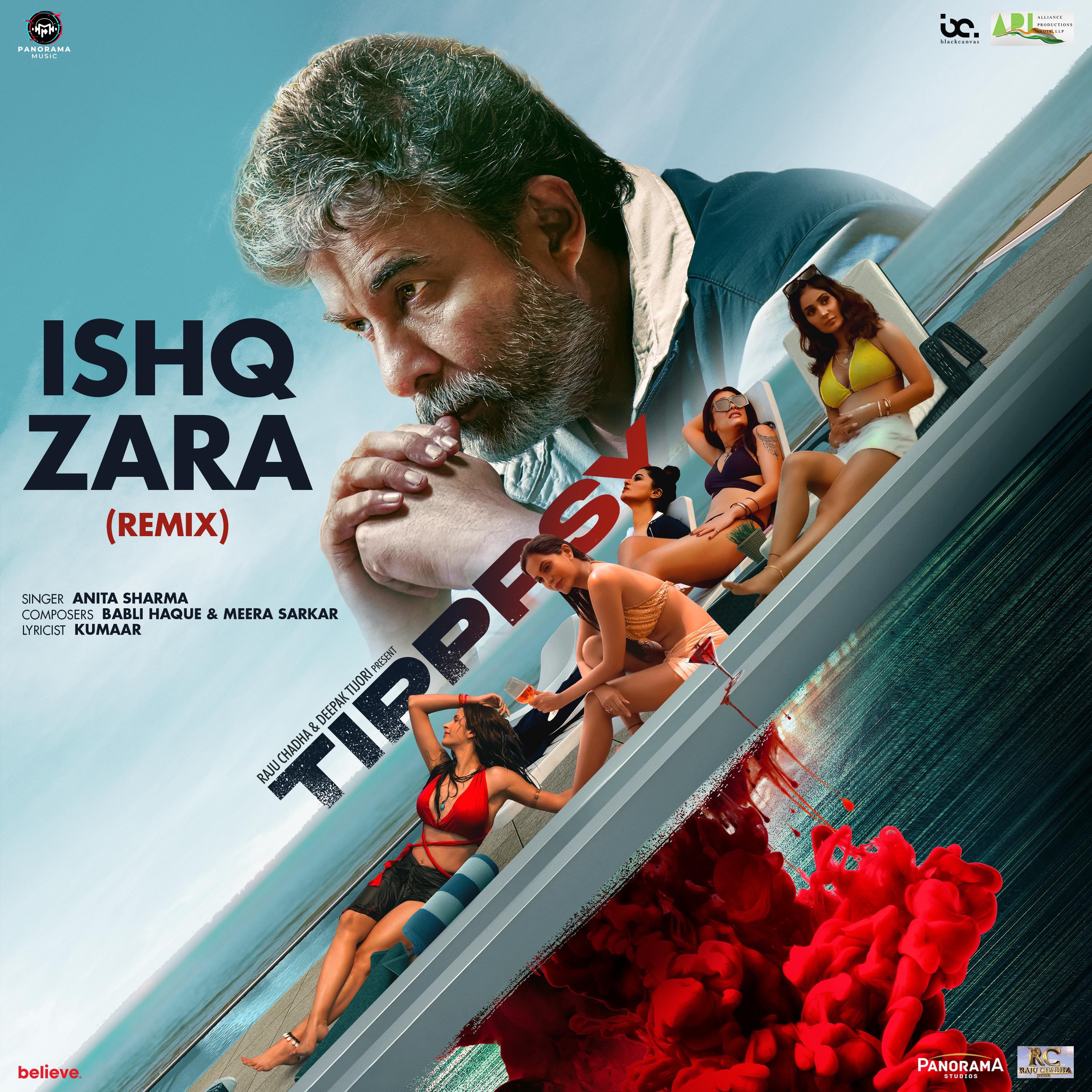 Постер альбома Ishq Zara Remix