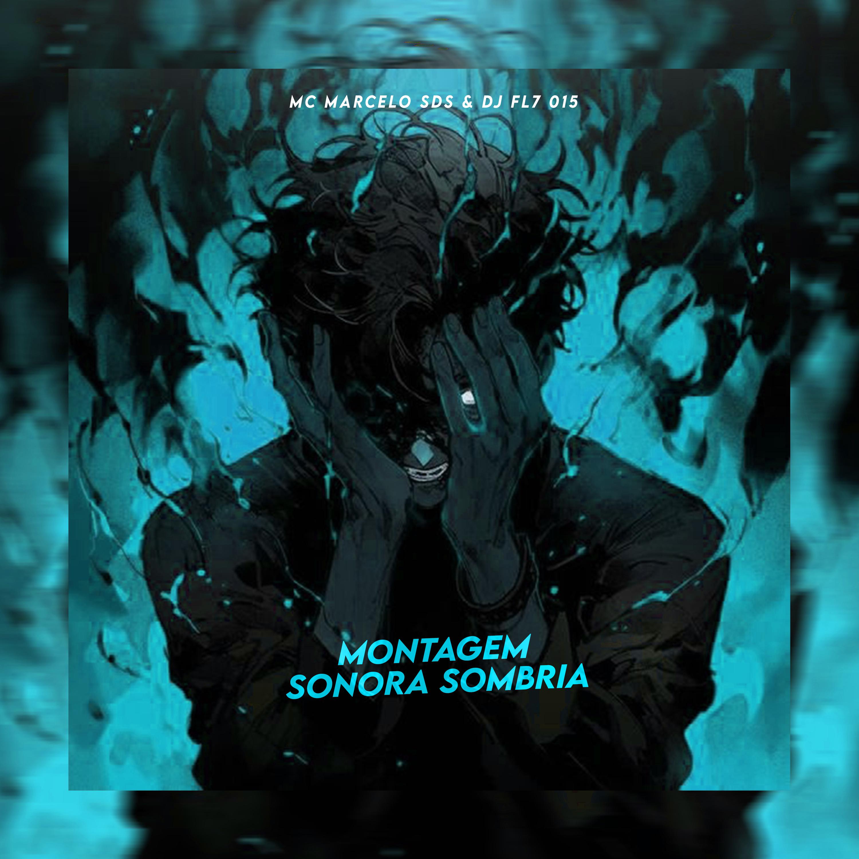 Постер альбома Montagem Sonora Sombria