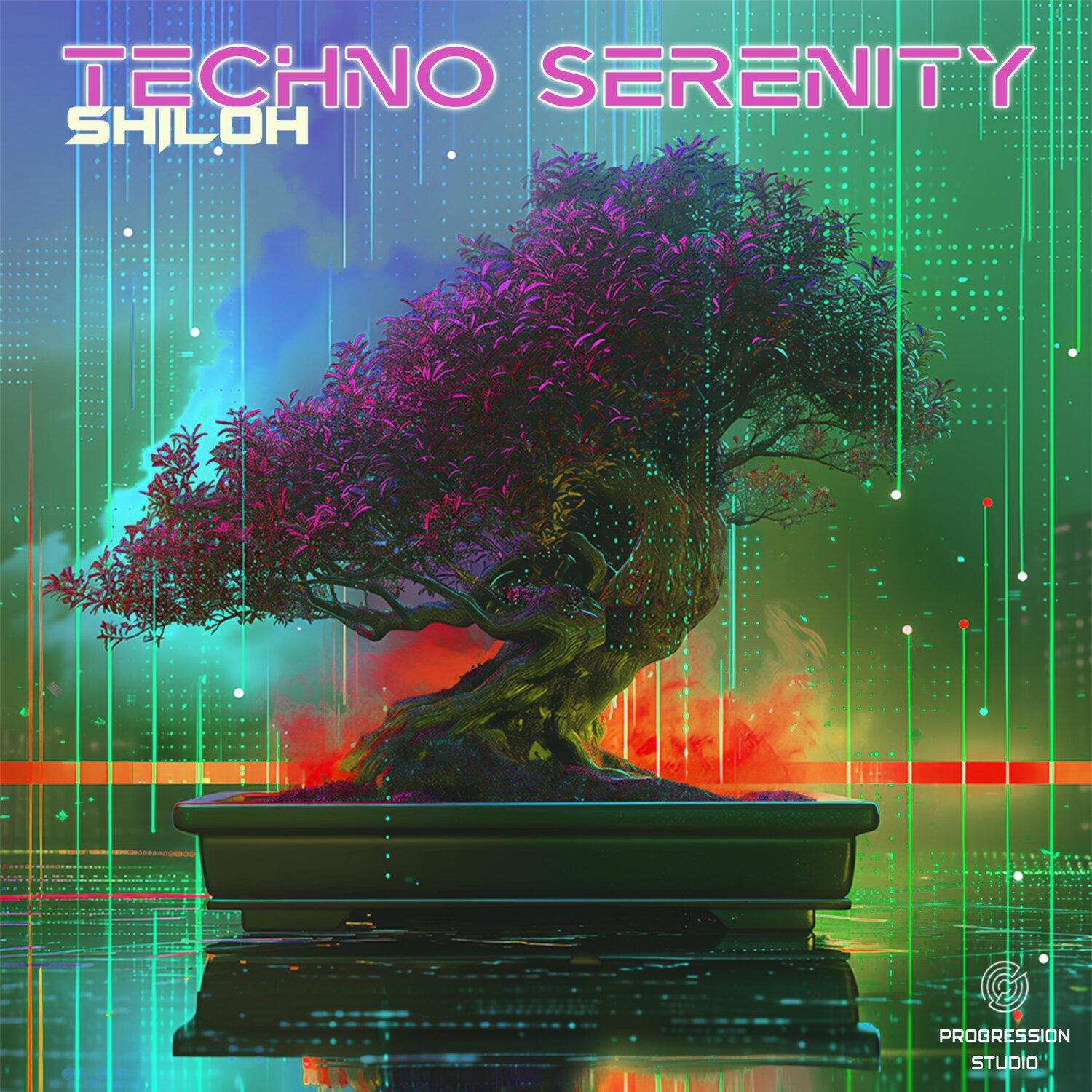 Постер альбома Techno Serenity
