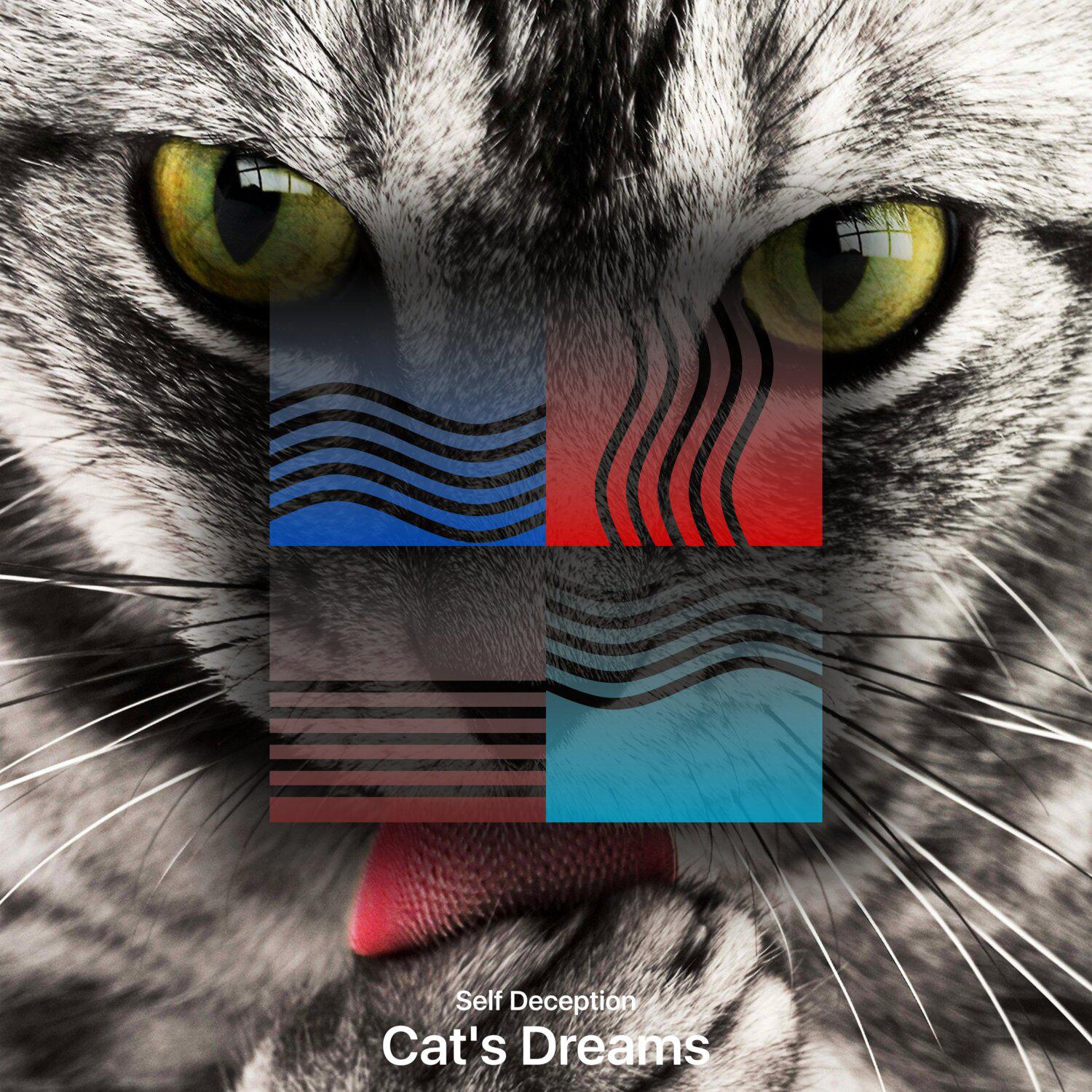 Постер альбома Cat's Dreams