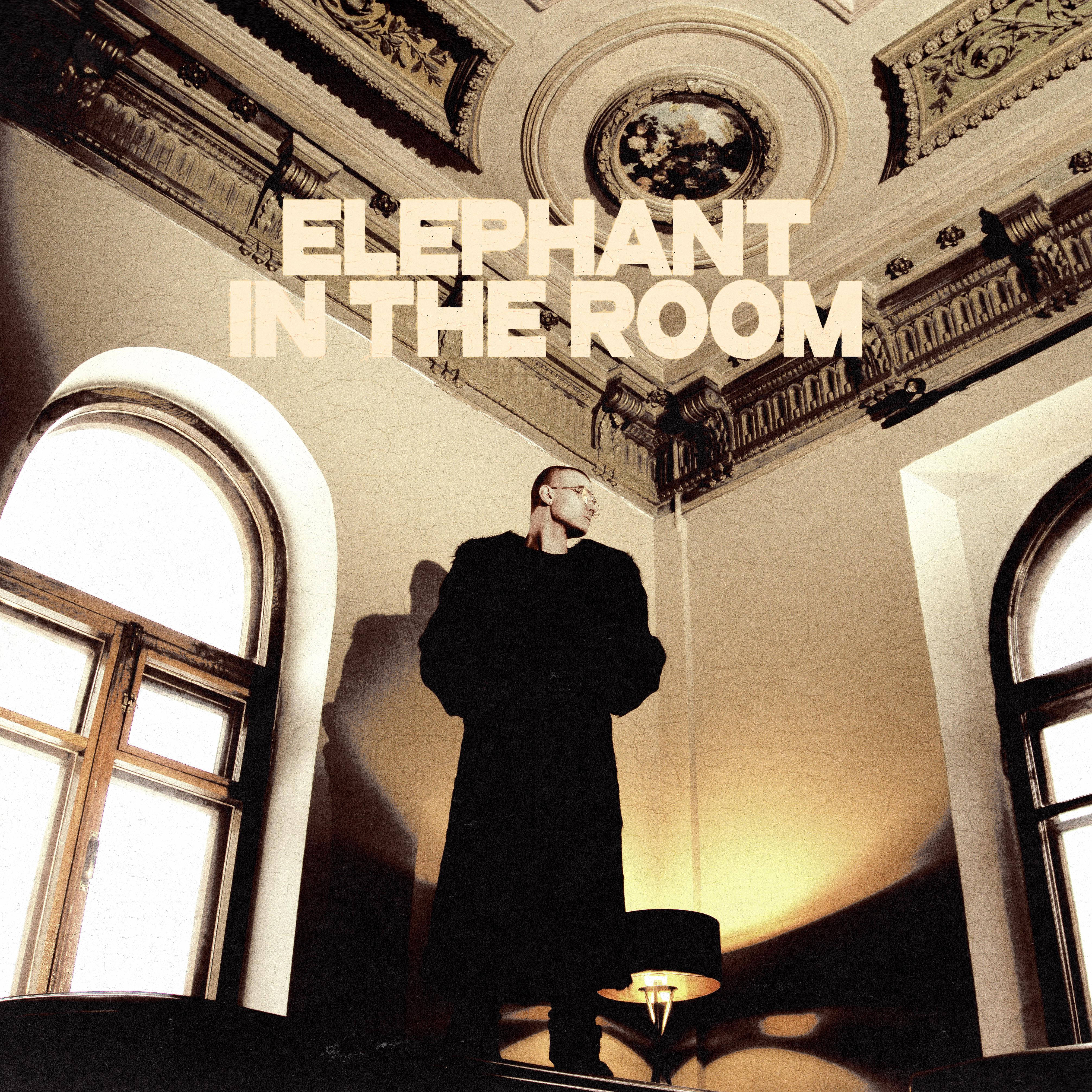 Постер альбома Elephant in the Room