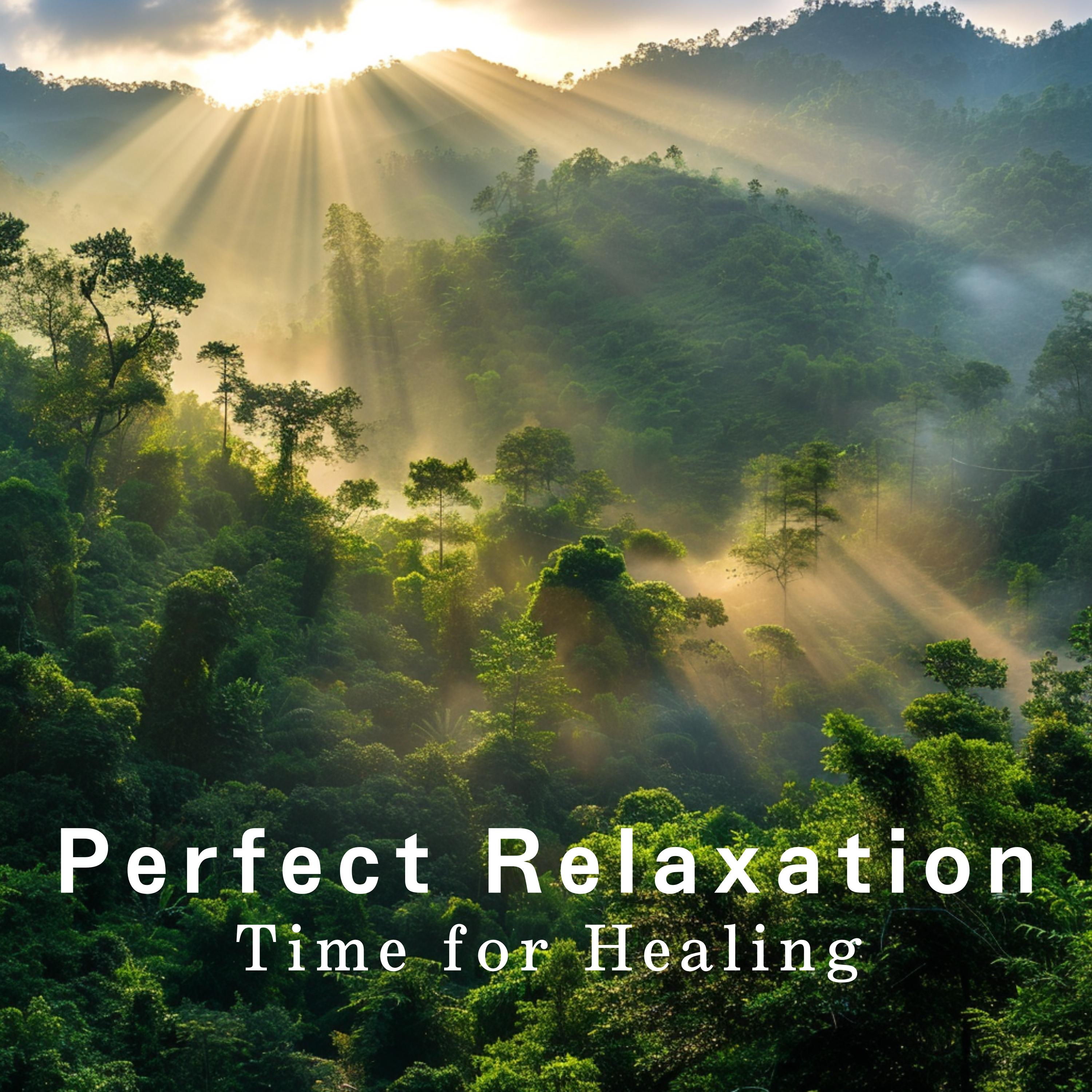 Постер альбома Perfect Relaxation - Time for Healing