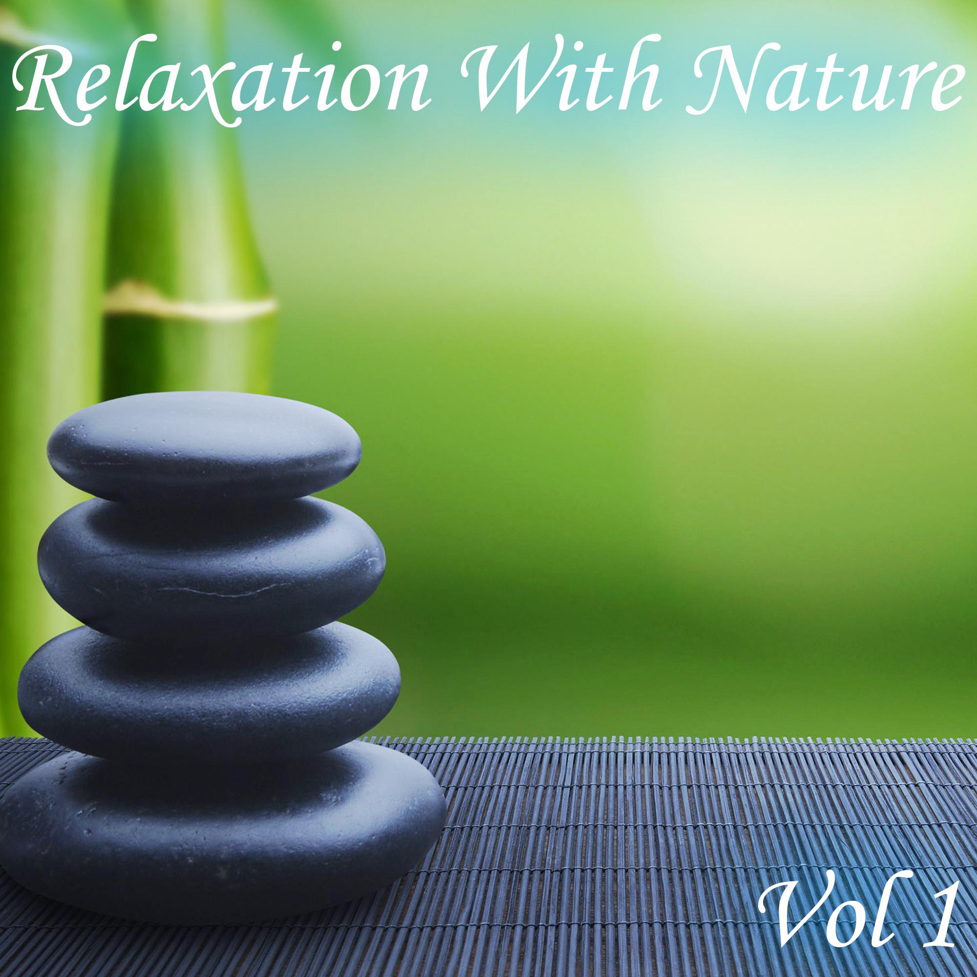 Постер альбома Relaxation With Nature, Vol. 1