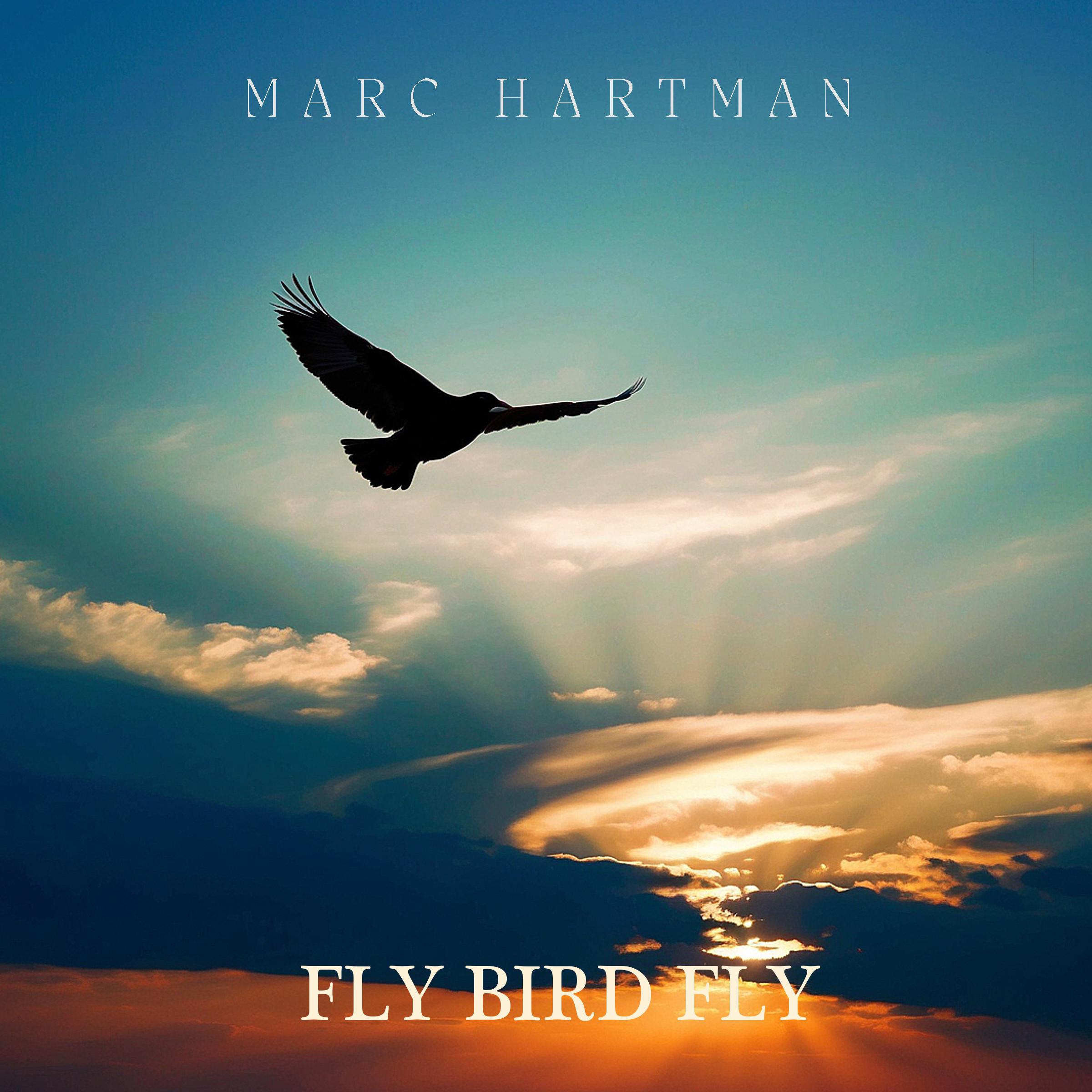 Постер альбома Fly Bird Fly