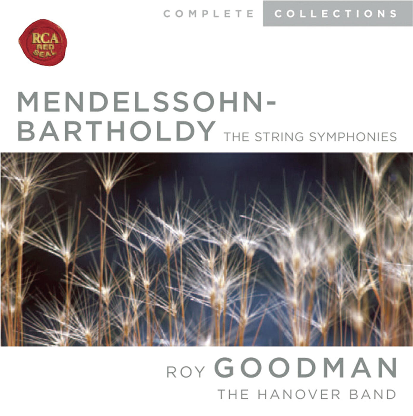 Roy Goodman - String Symphony No. 3 in E Minor, MWV N 3: I. Allegro di molto