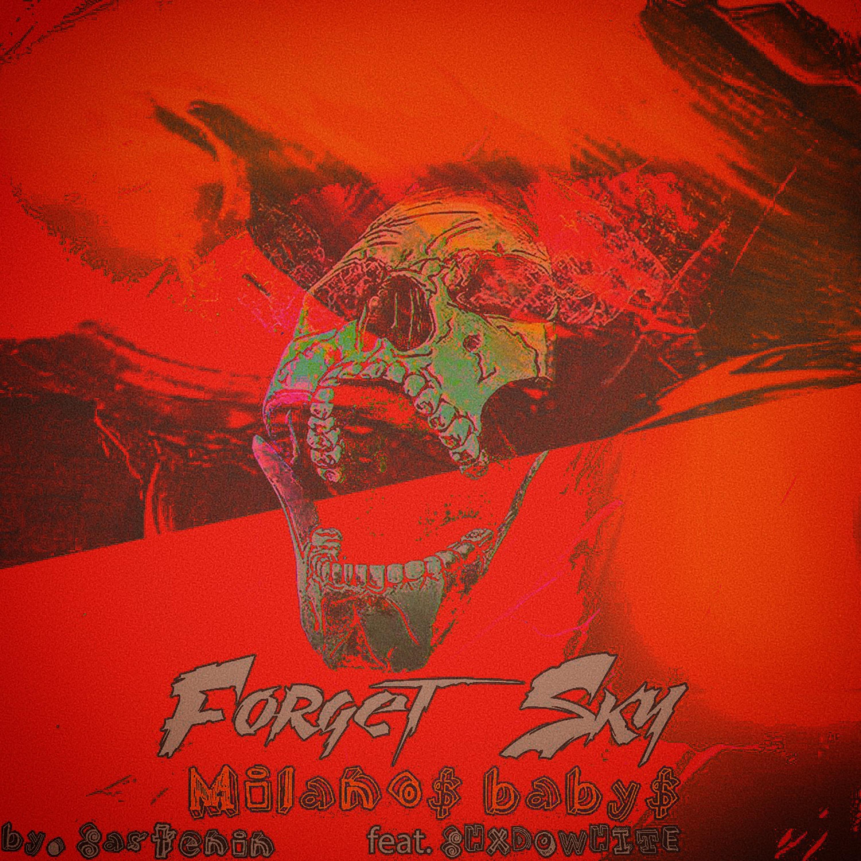 Постер альбома Forget Skyc (feat. Sastenin, Shxdowhite)