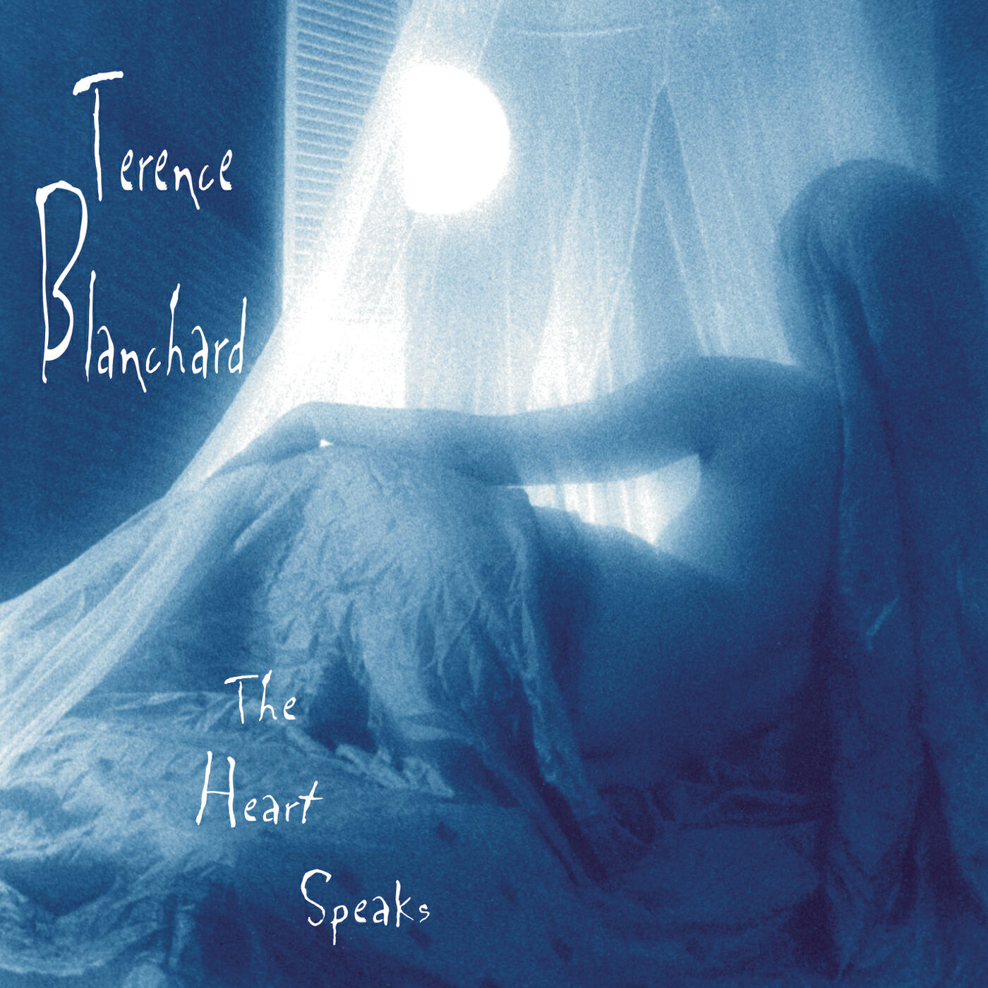 Terence Blanchard - Valsa Mineira (Album Version)