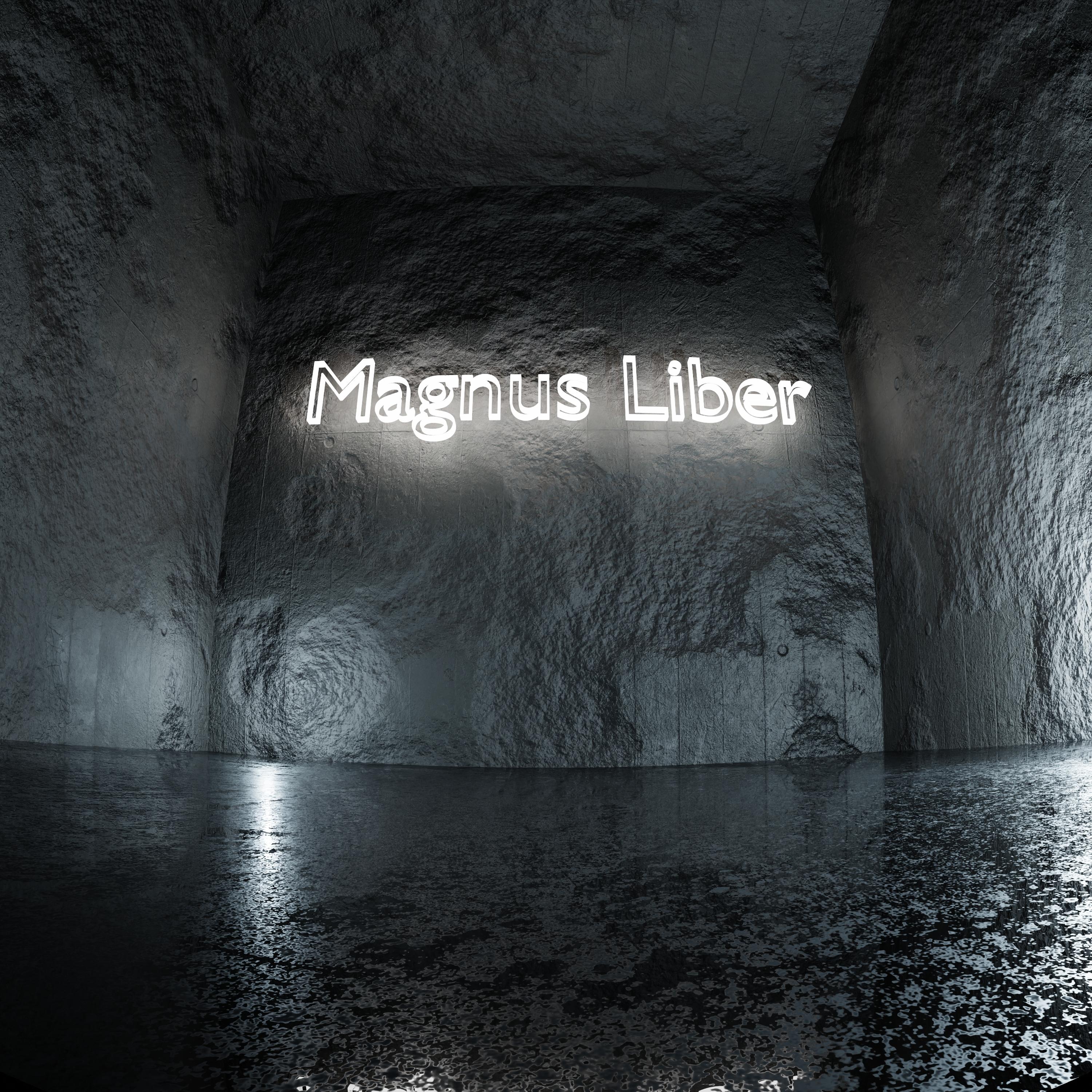 Постер альбома Magnus Liber