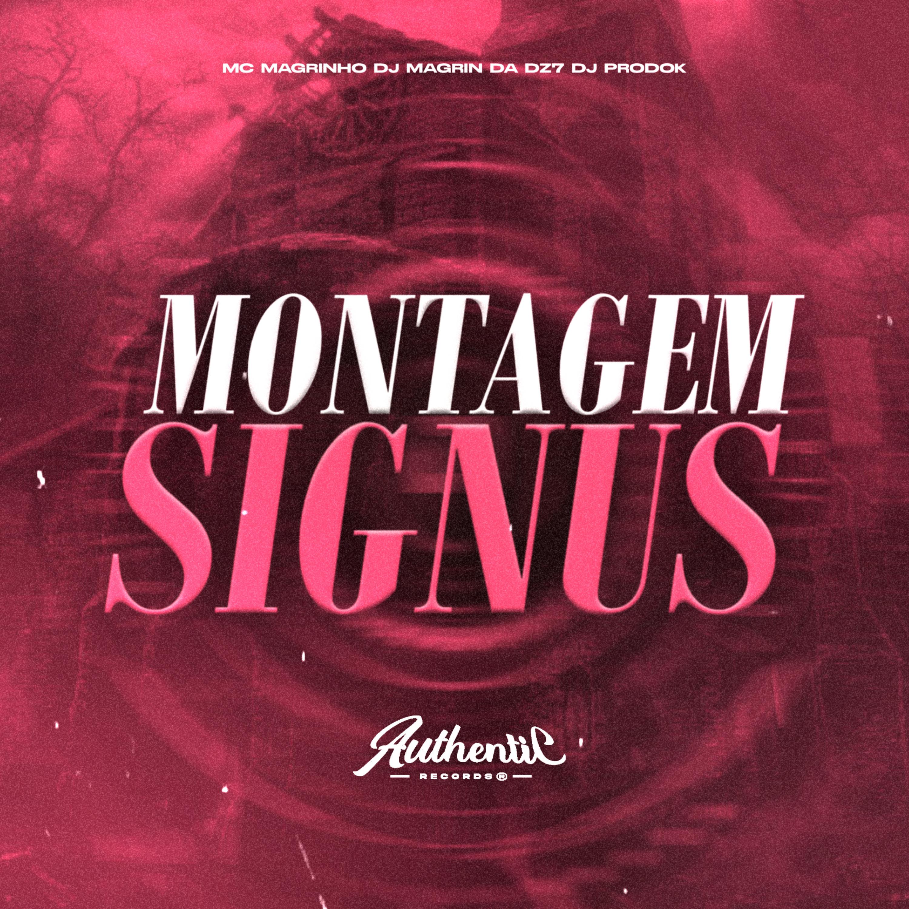 Постер альбома Montagem Signus