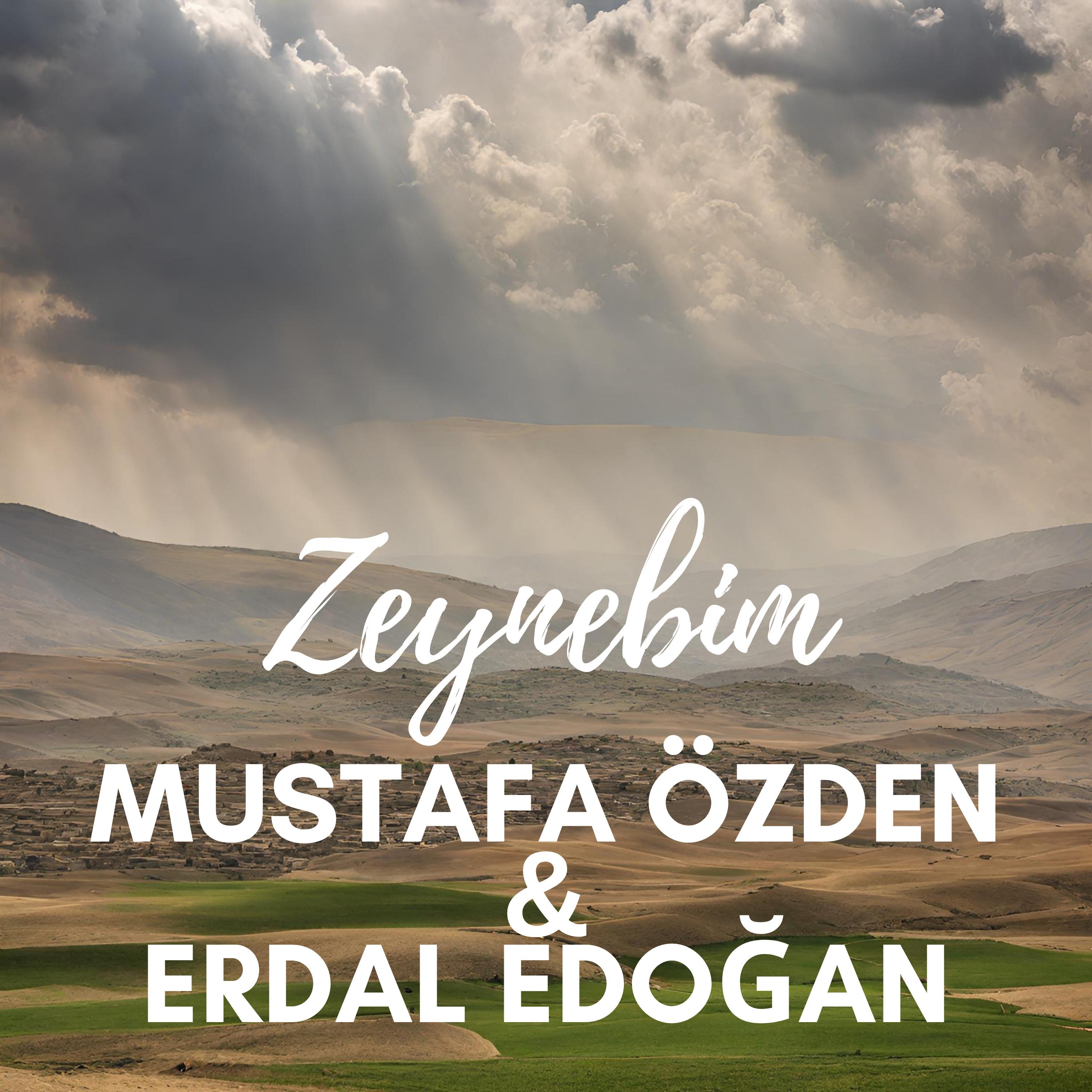 Постер альбома Zeynebim