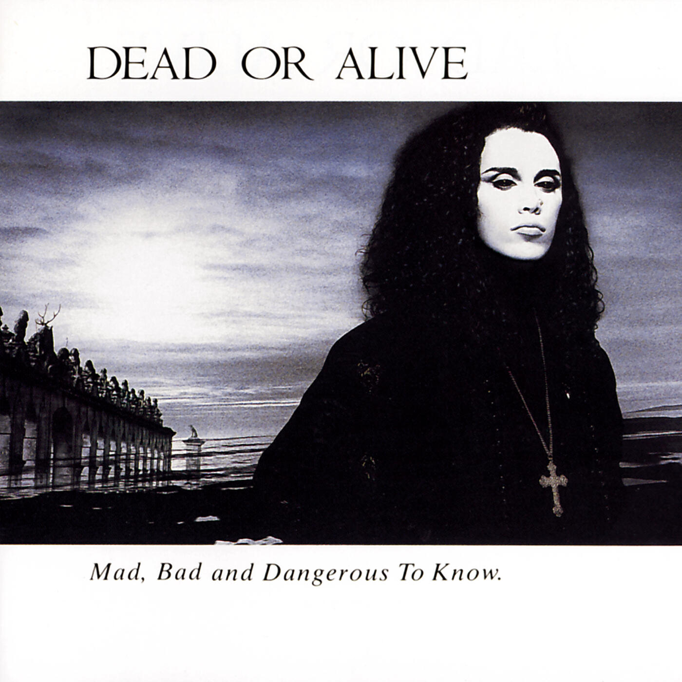 Dead Or Alive - Something In My House