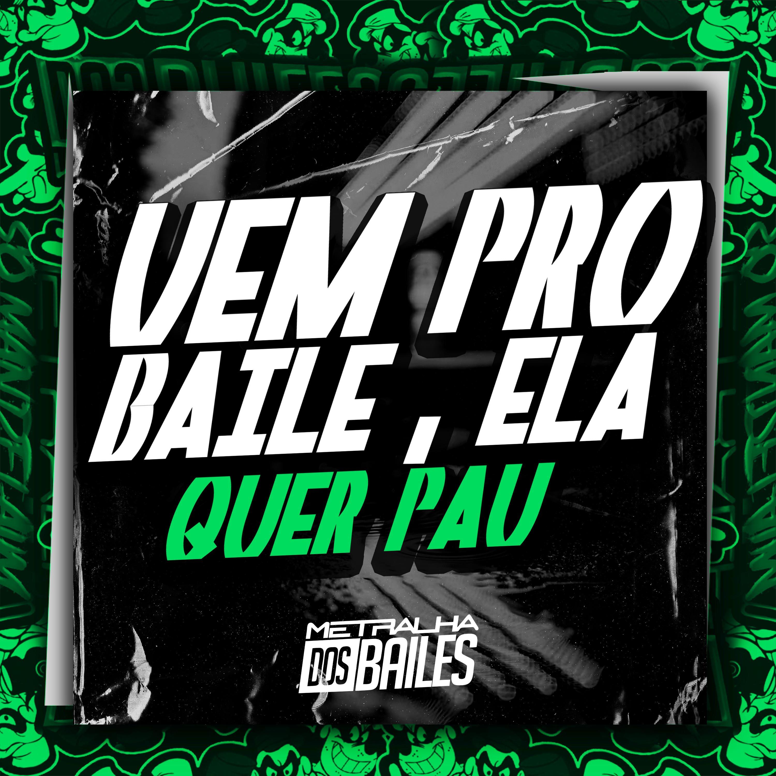 Постер альбома Vem pro Baile, Ela Quer Pau