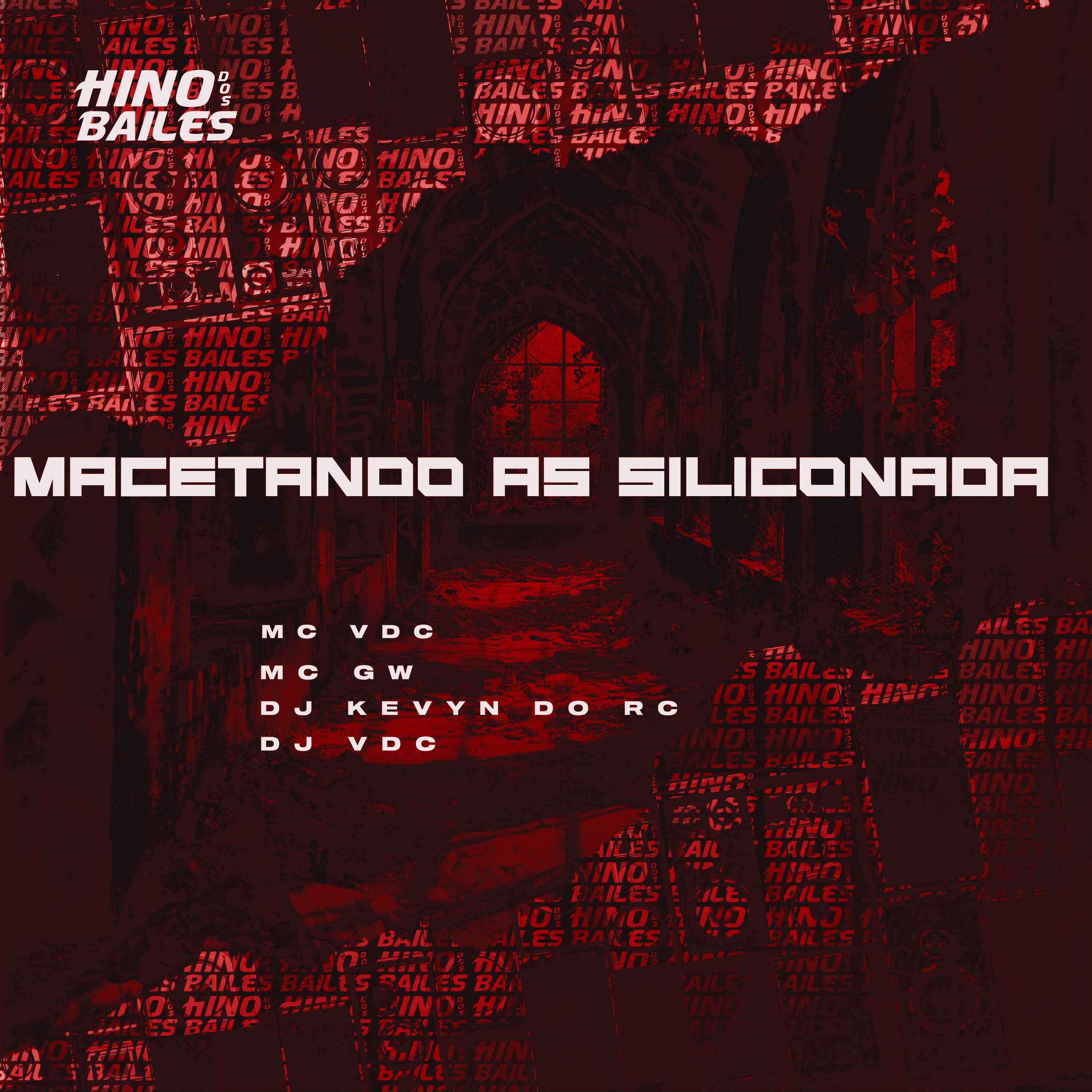 Постер альбома Macetando as Siliconada