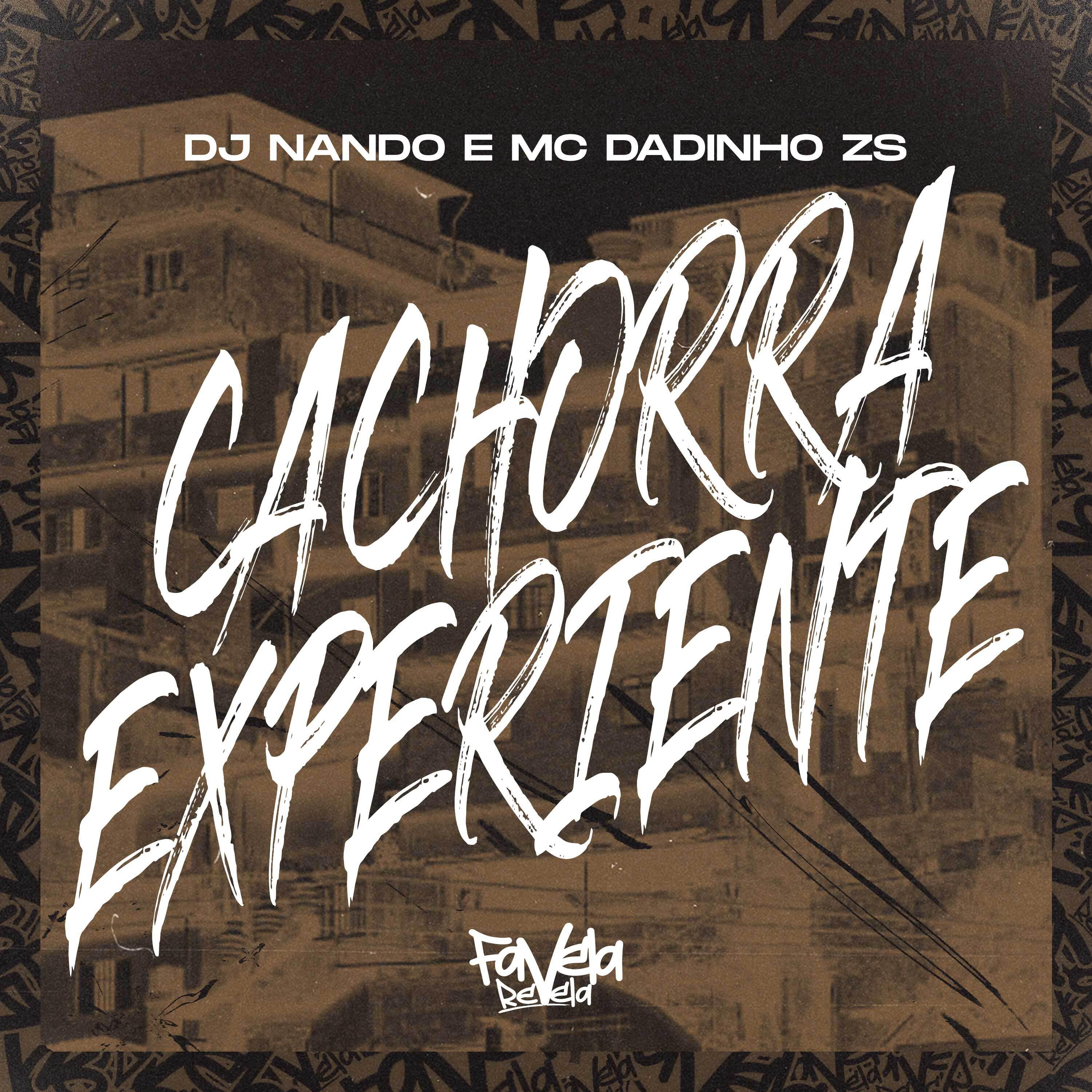 Постер альбома Cachorra Experiente
