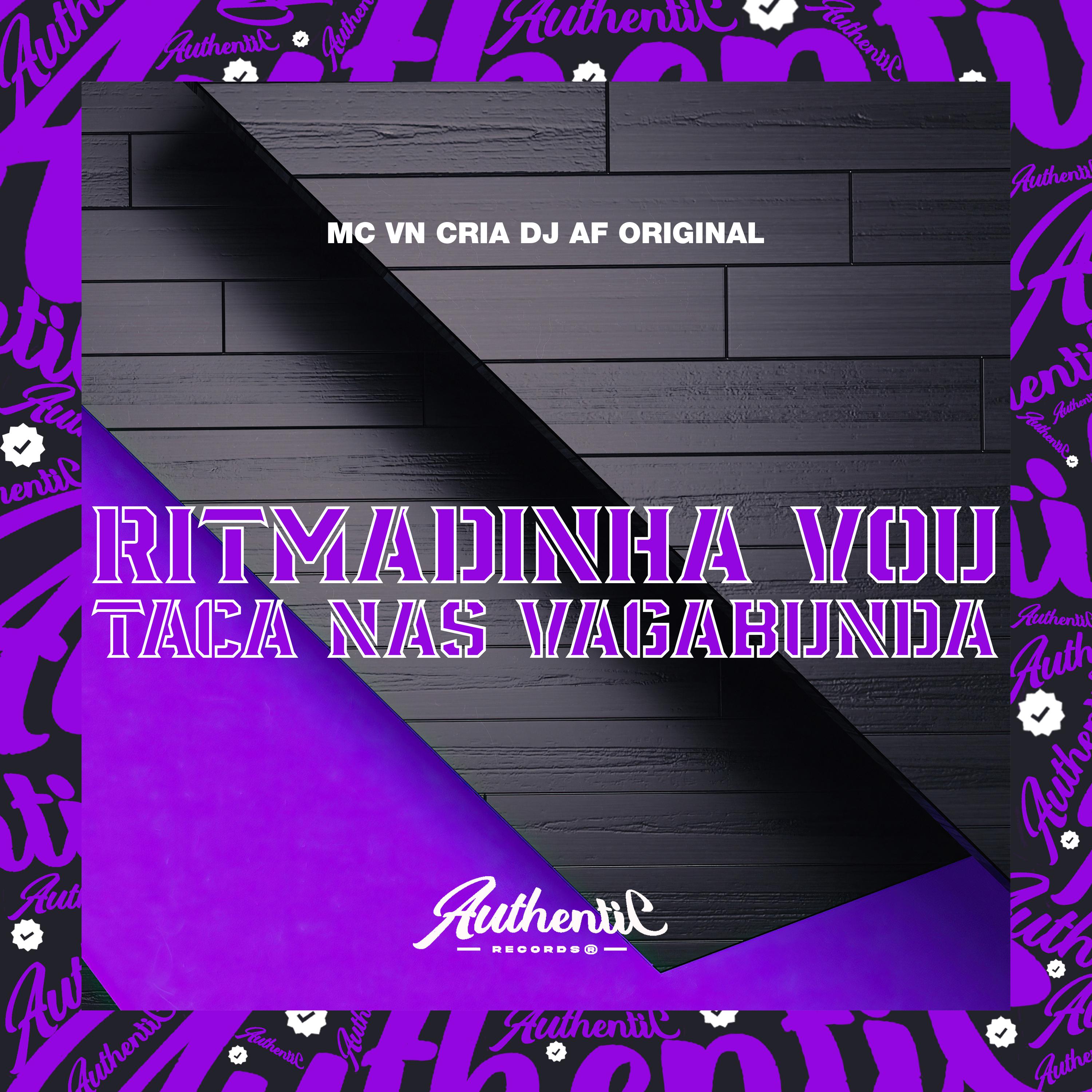 Постер альбома Ritmadinha Vou Taca nas Vagabunda